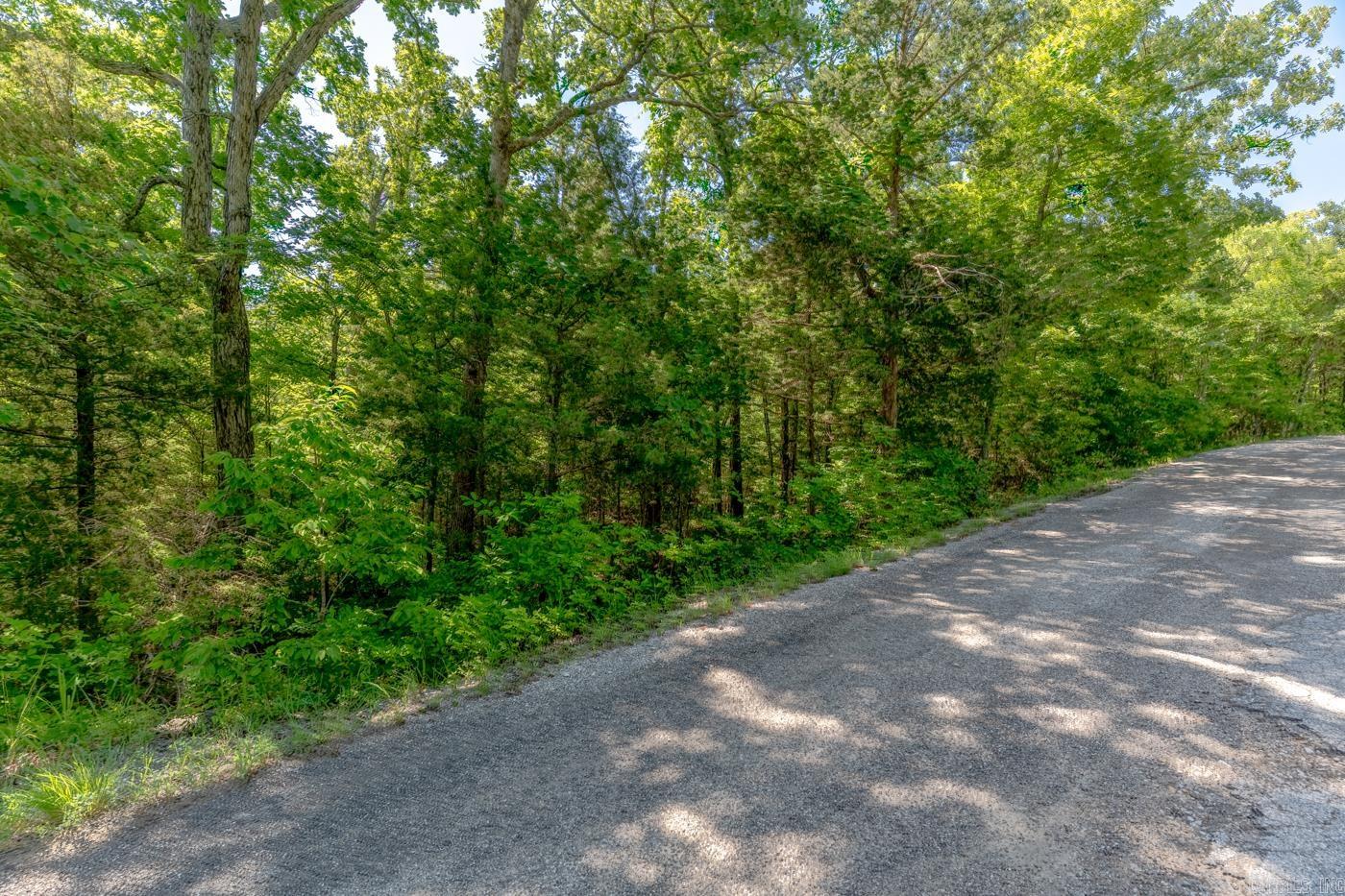 TBD Konawa Drive Property Photo 1