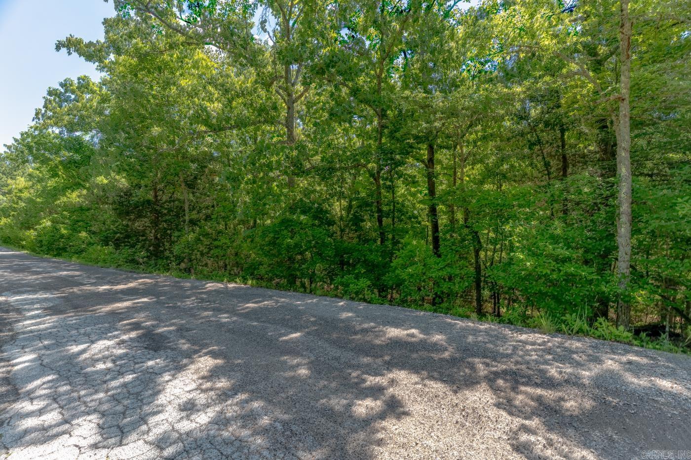 Tbd Konawa Drive Property Photo 2