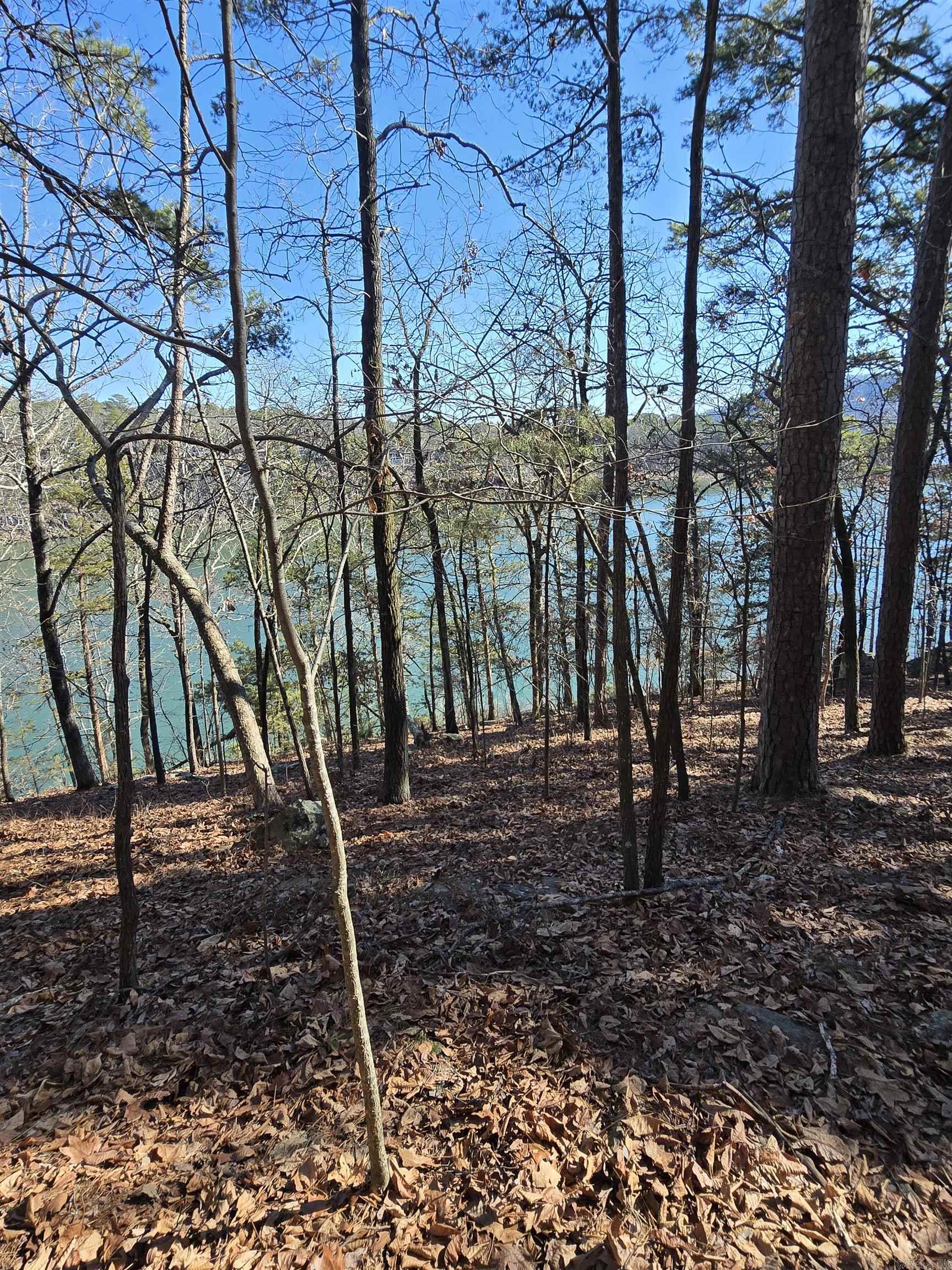 256 Lakeside Drive Property Photo 4