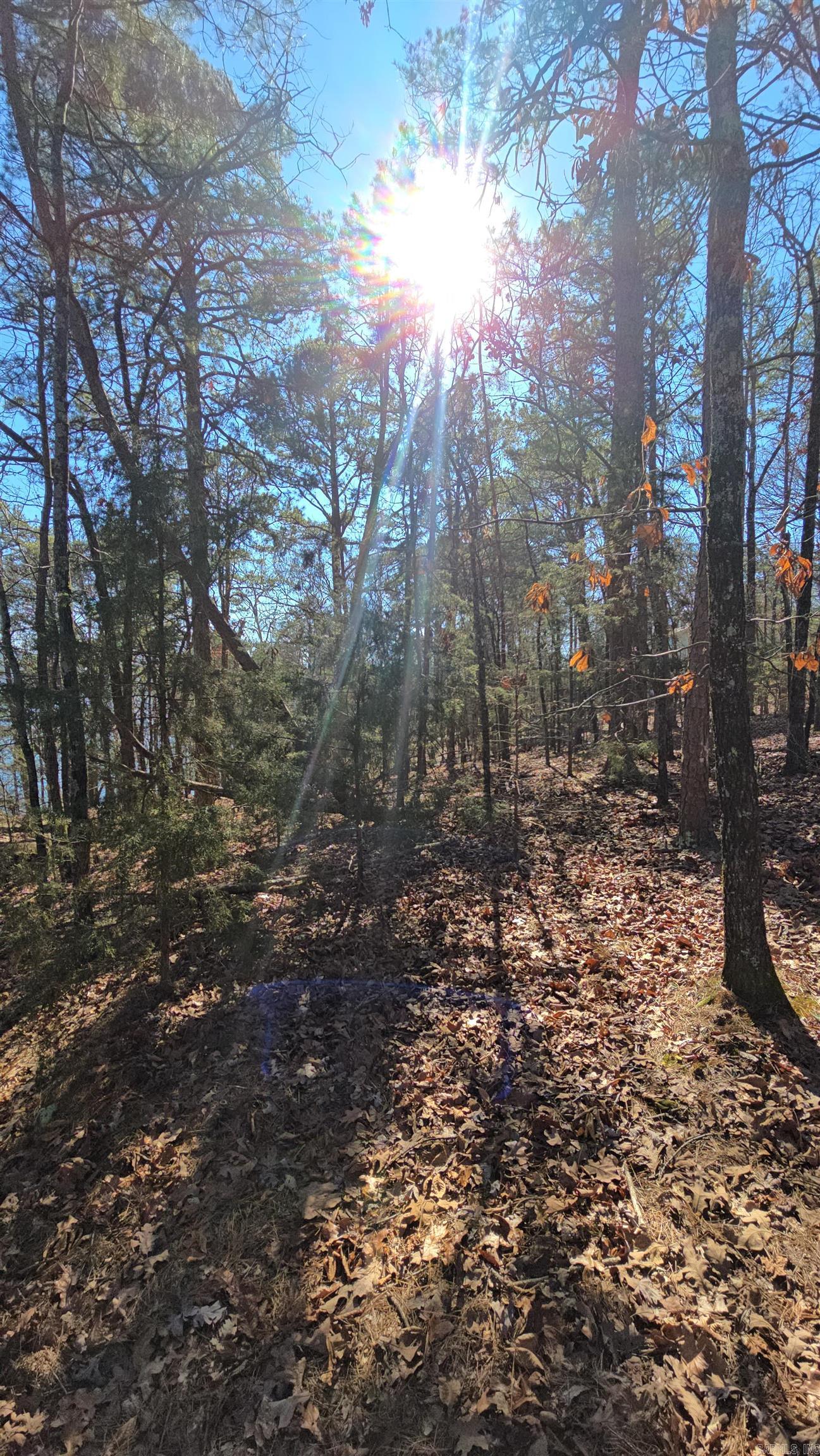 256 Lakeside Drive Property Photo 18