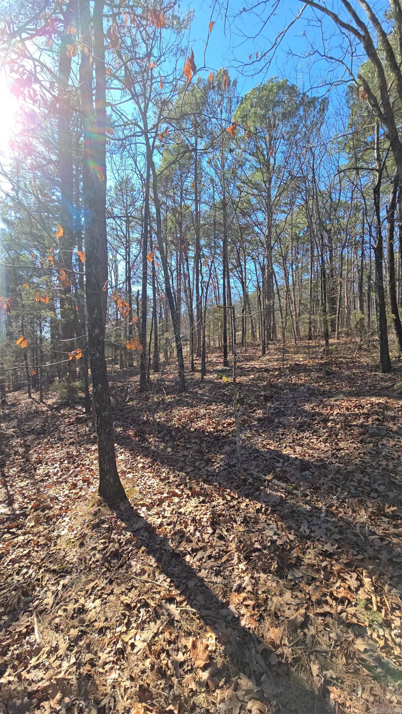 256 Lakeside Drive Property Photo 19