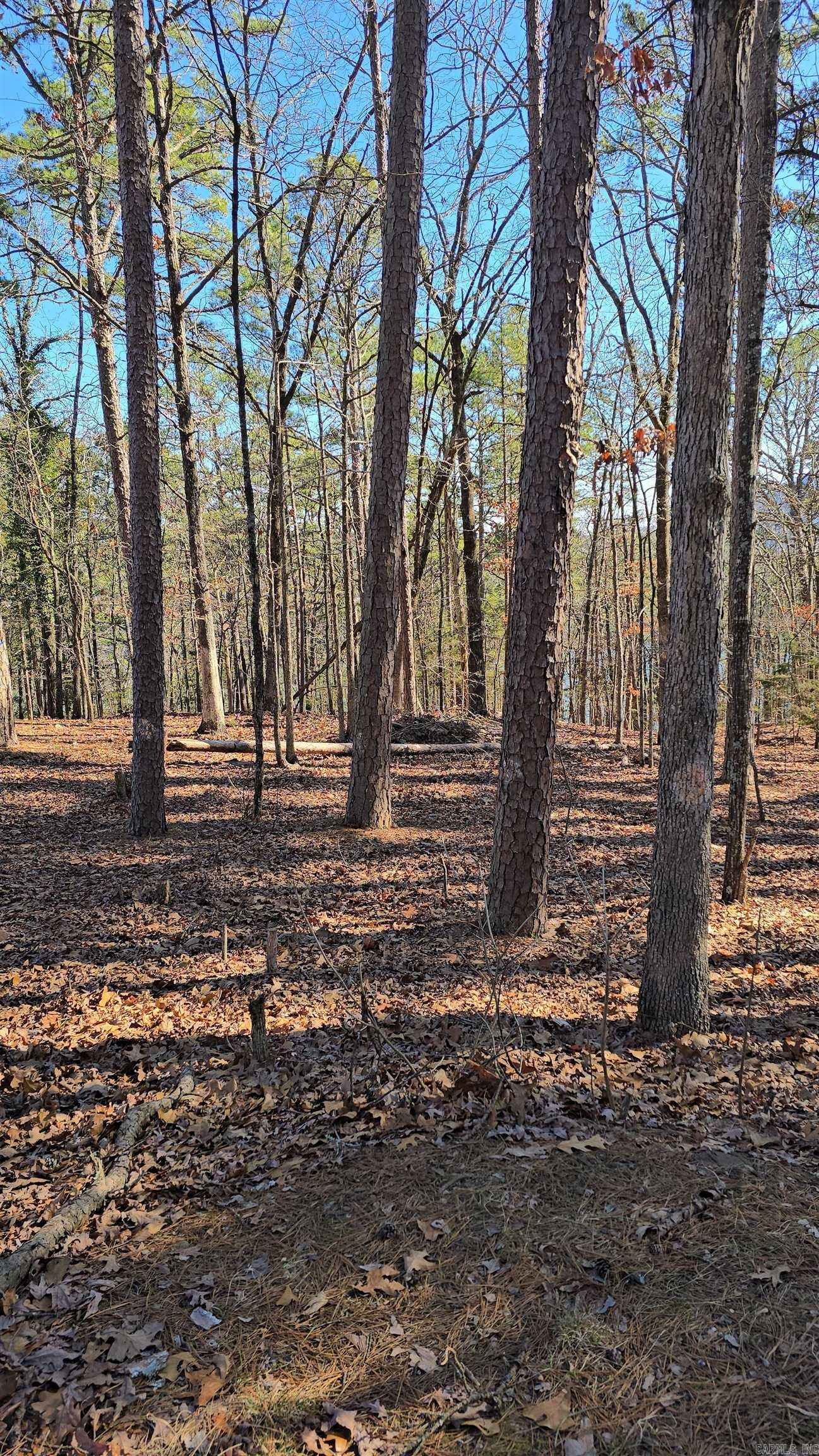 256 Lakeside Drive Property Photo 20