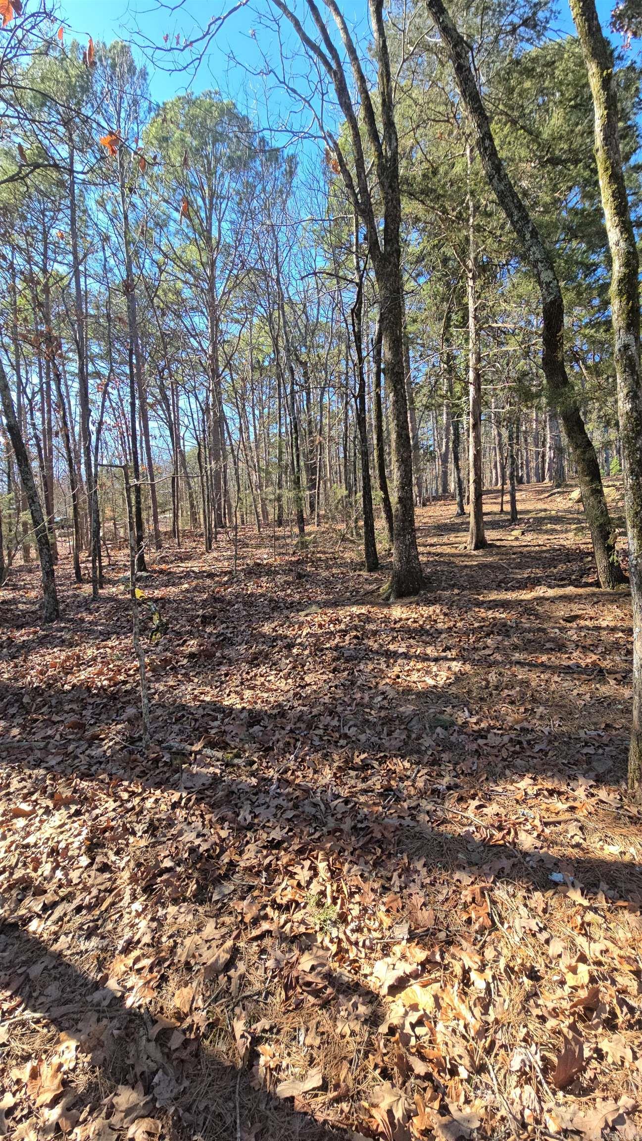 256 Lakeside Drive Property Photo 22