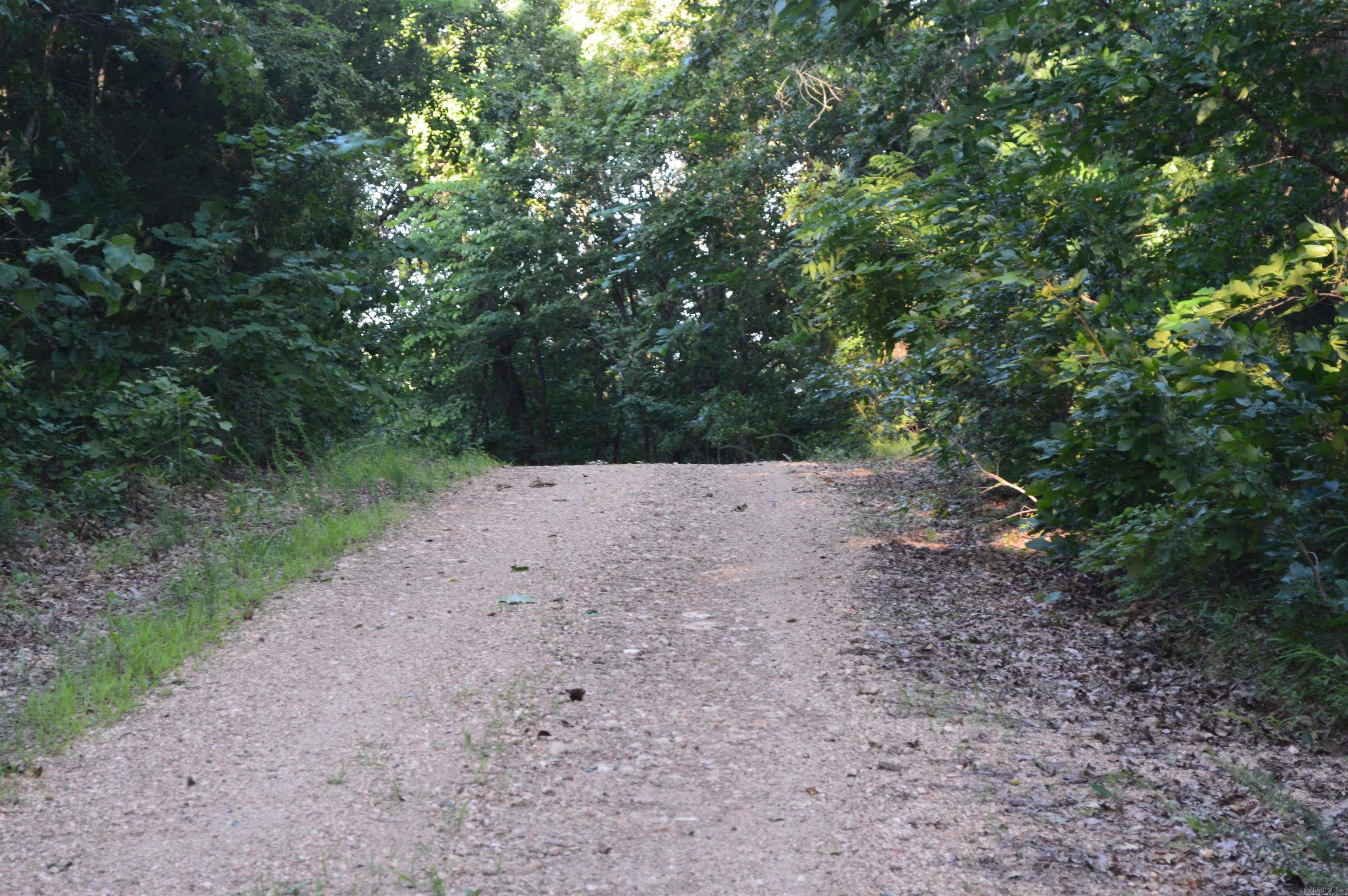 Tbd Schnauzer Ln Property Photo 1