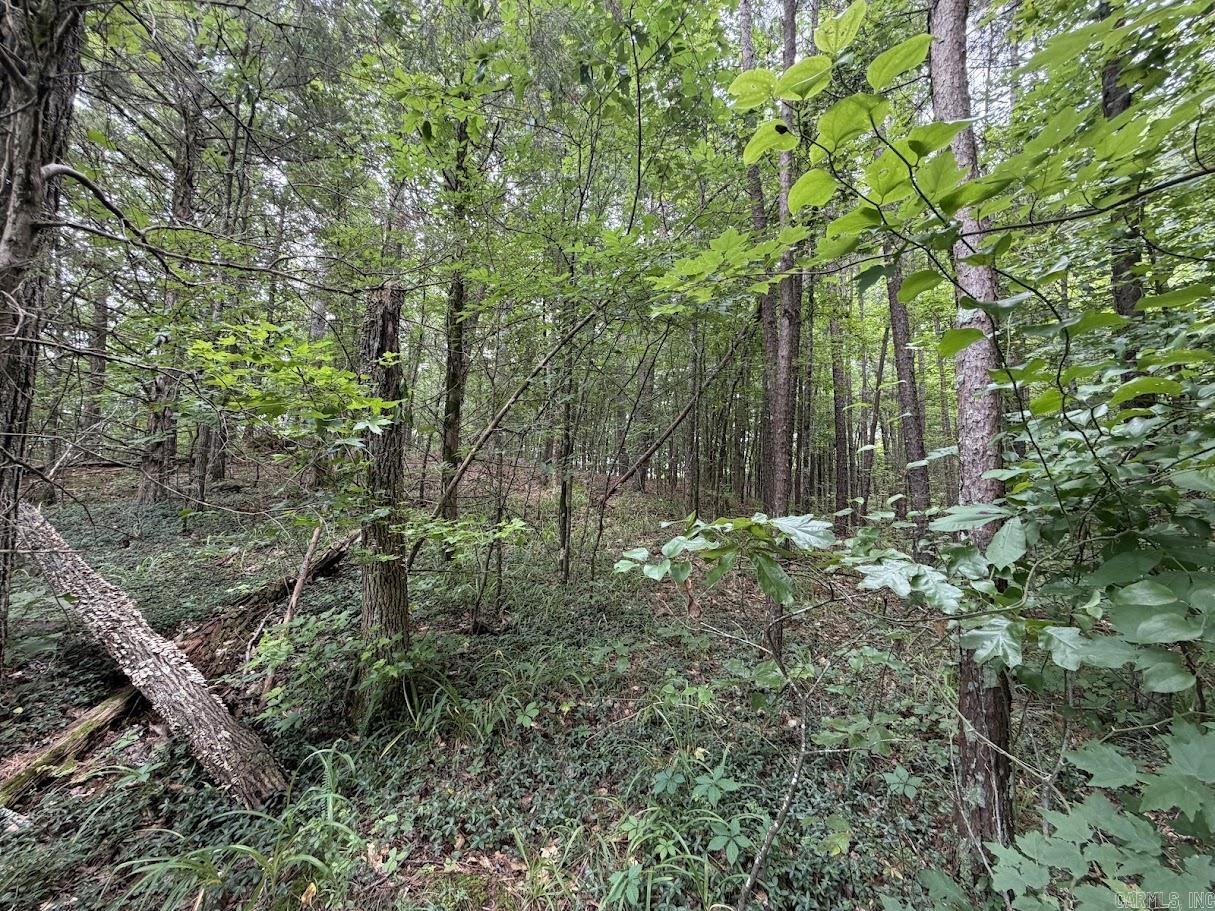 3505 Hwy 71 S Property Photo 31