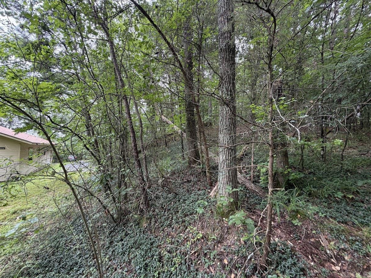 3505 Hwy 71 S Property Photo 32
