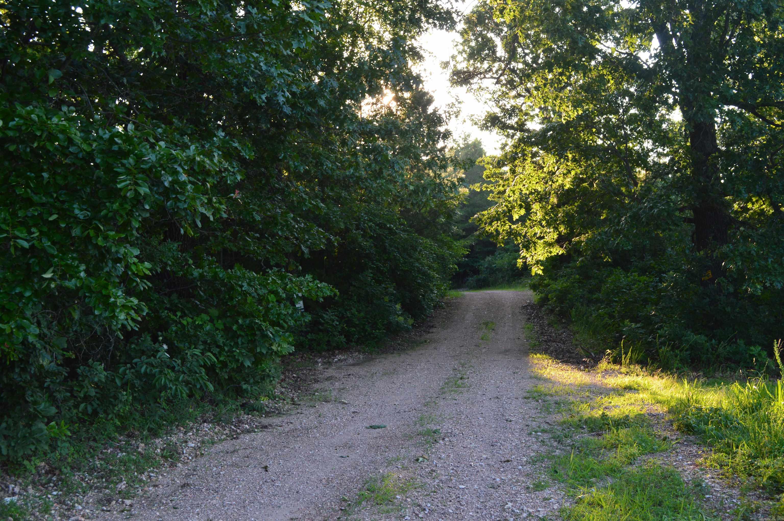 Tbd Schnauzer Ln Property Photo 1