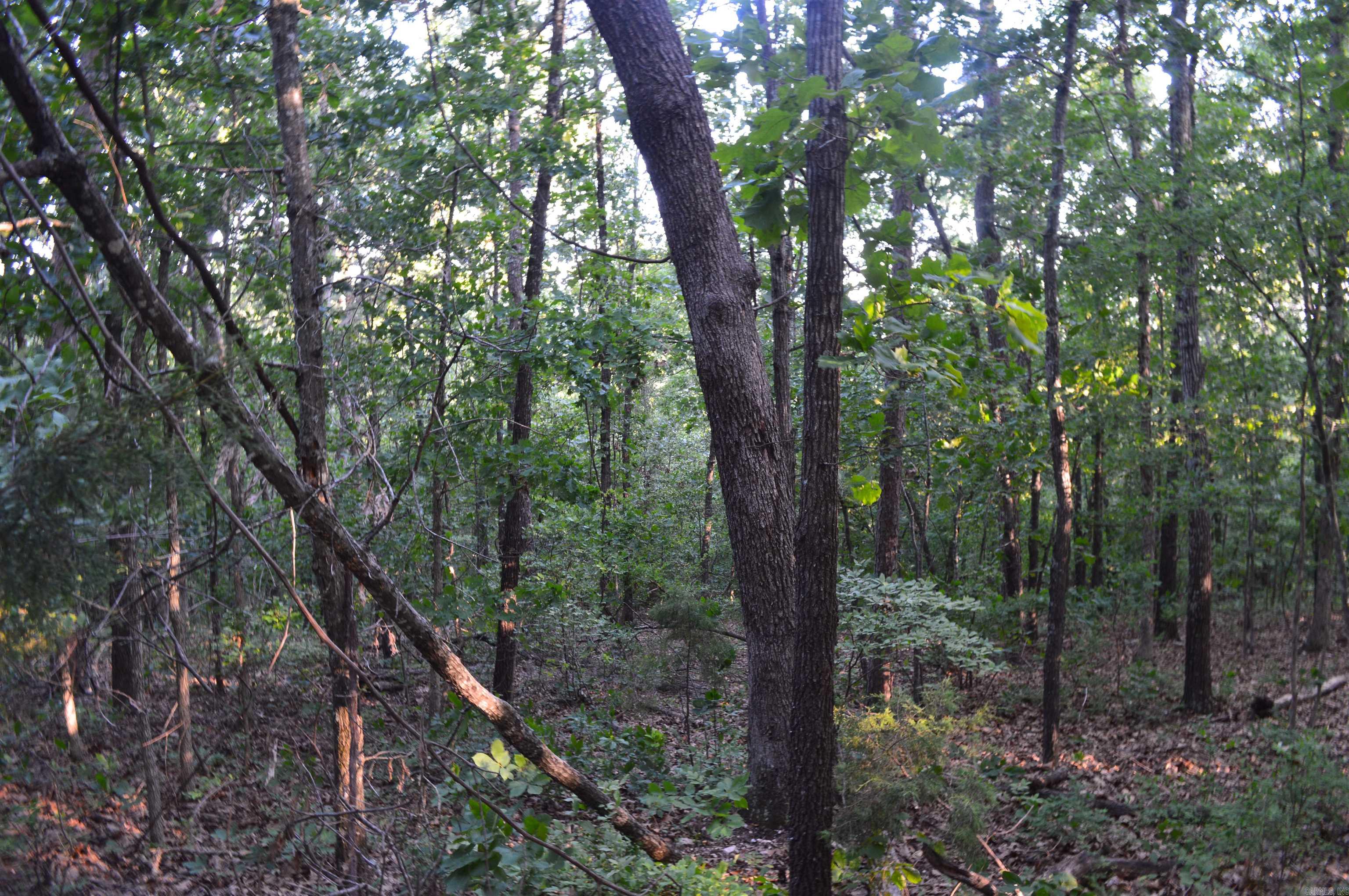 Tbd Schnauzer Ln Property Photo 9