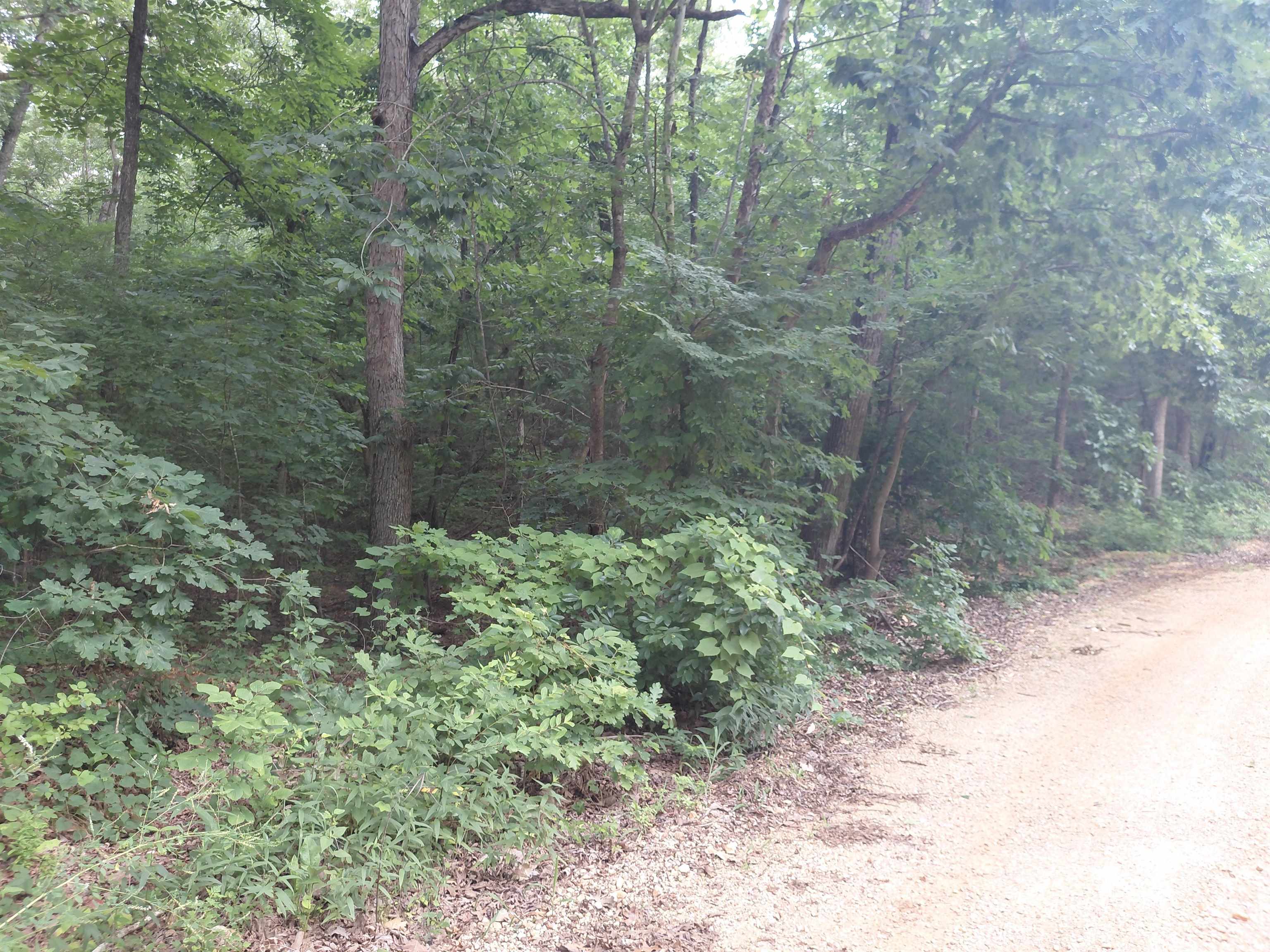 W Lakeshore Drive Property Photo 1