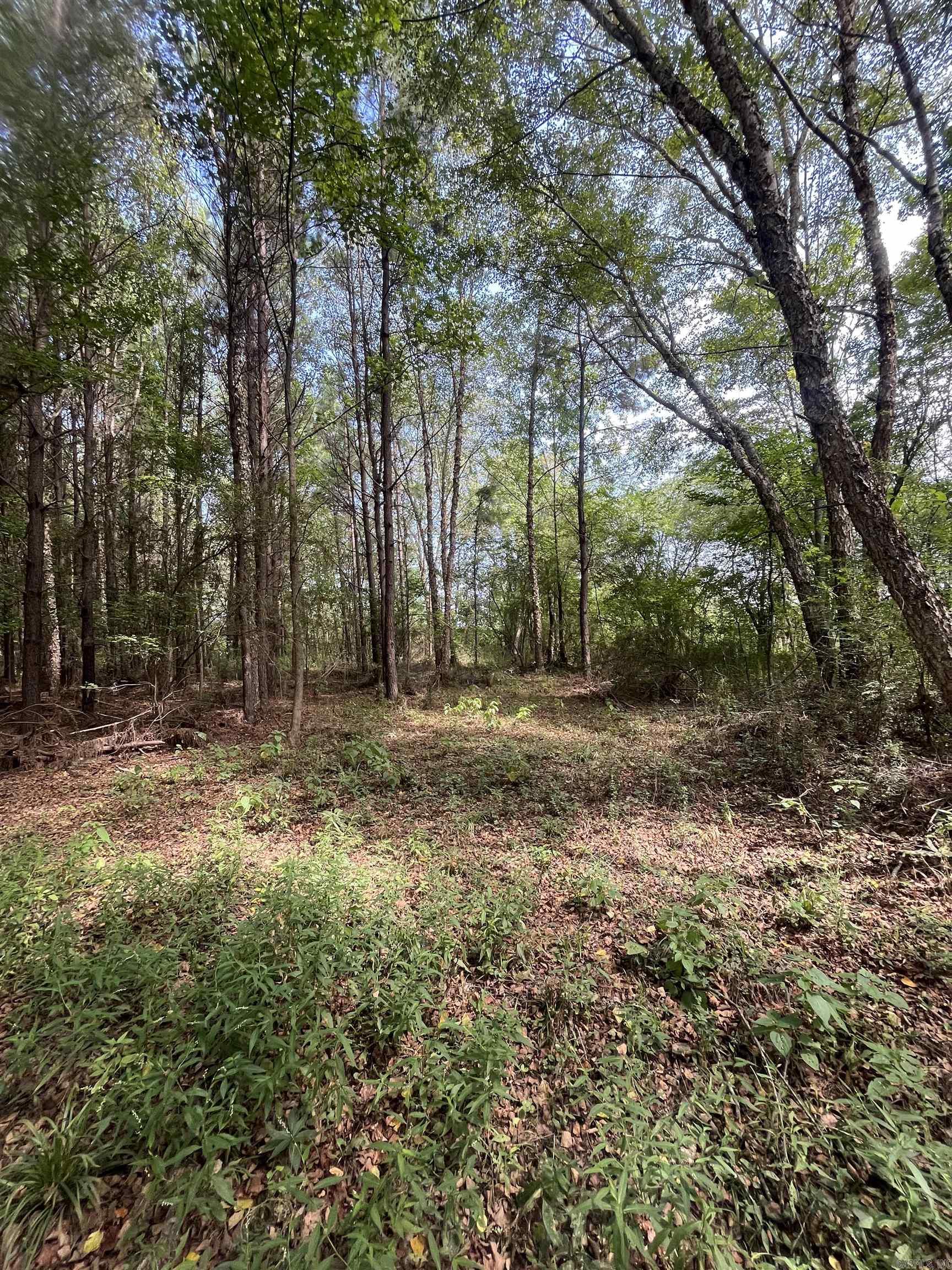 Hwy 64 Highway Property Photo 4