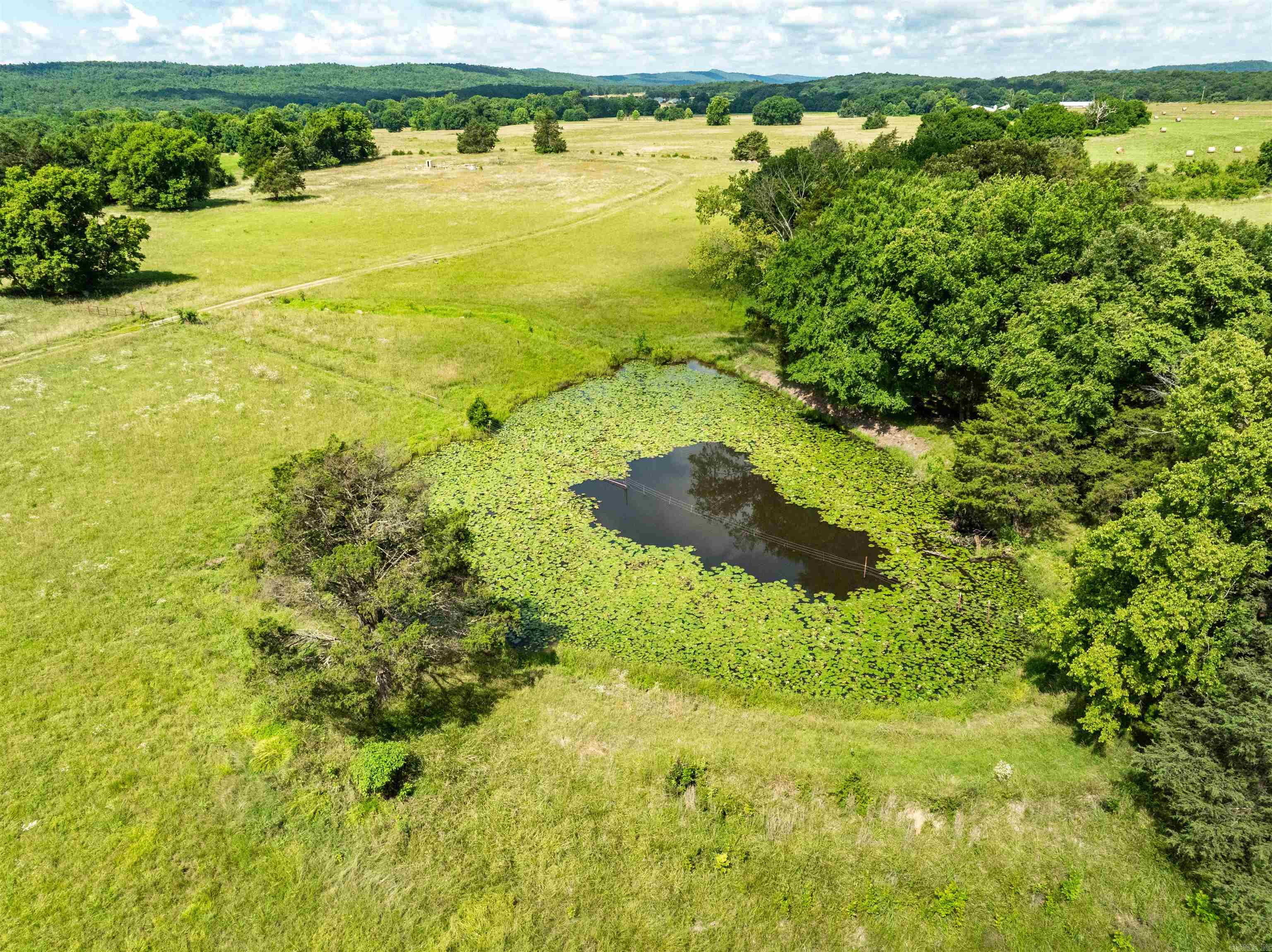 19025 Highway 41 Property Photo 7