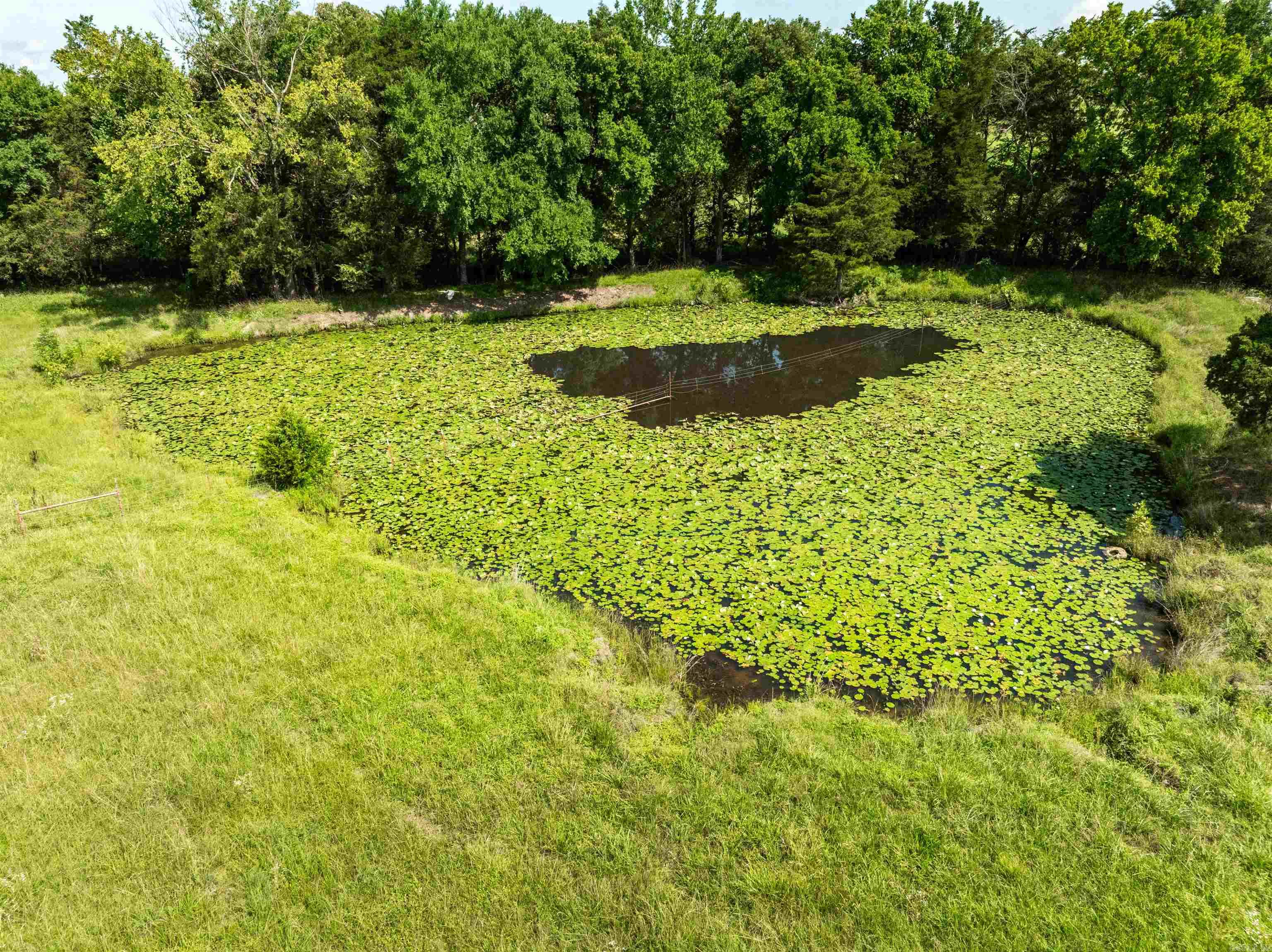 19025 Highway 41 Property Photo 8