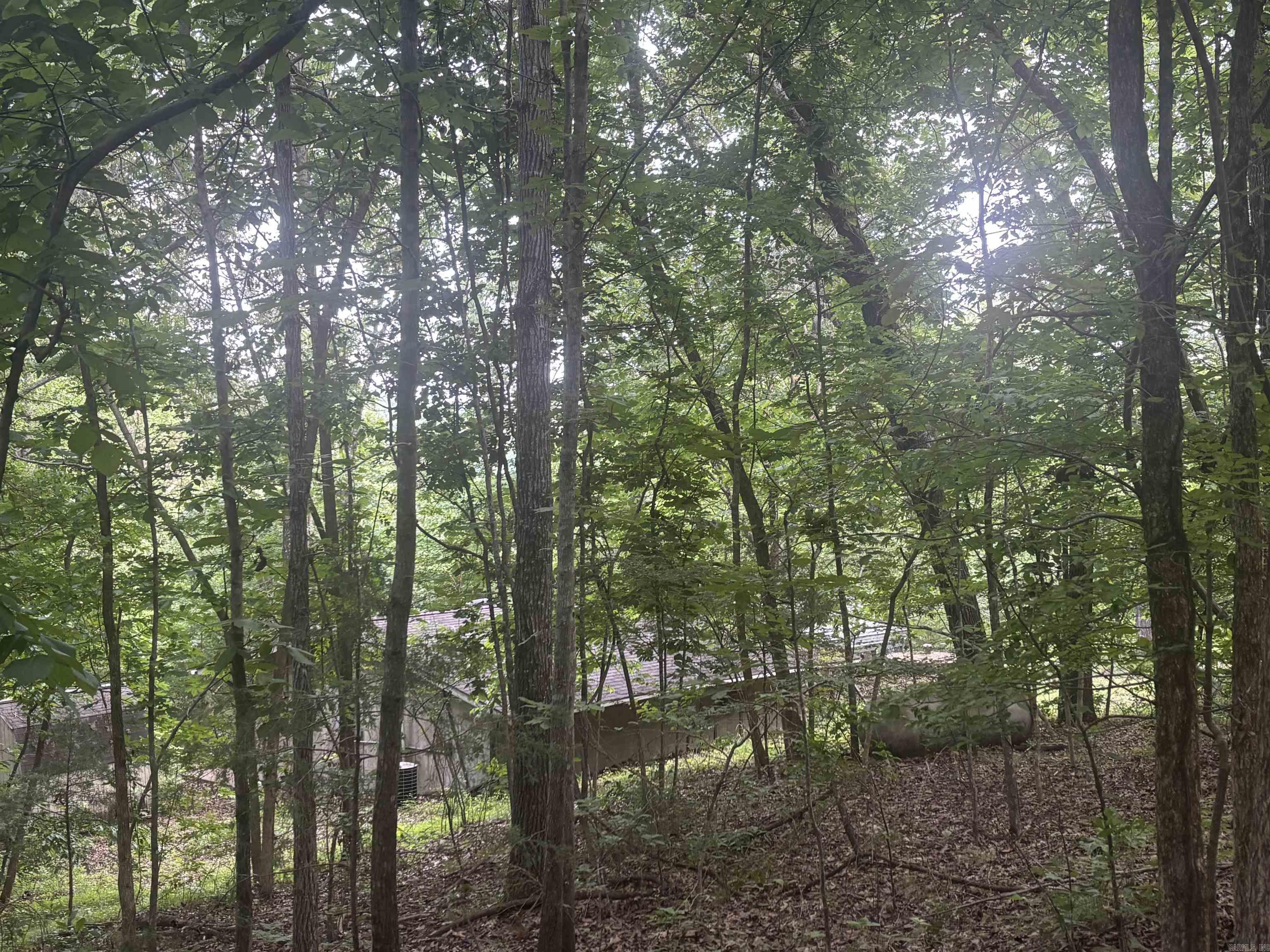 124 Bluffs Drive Property Photo 24