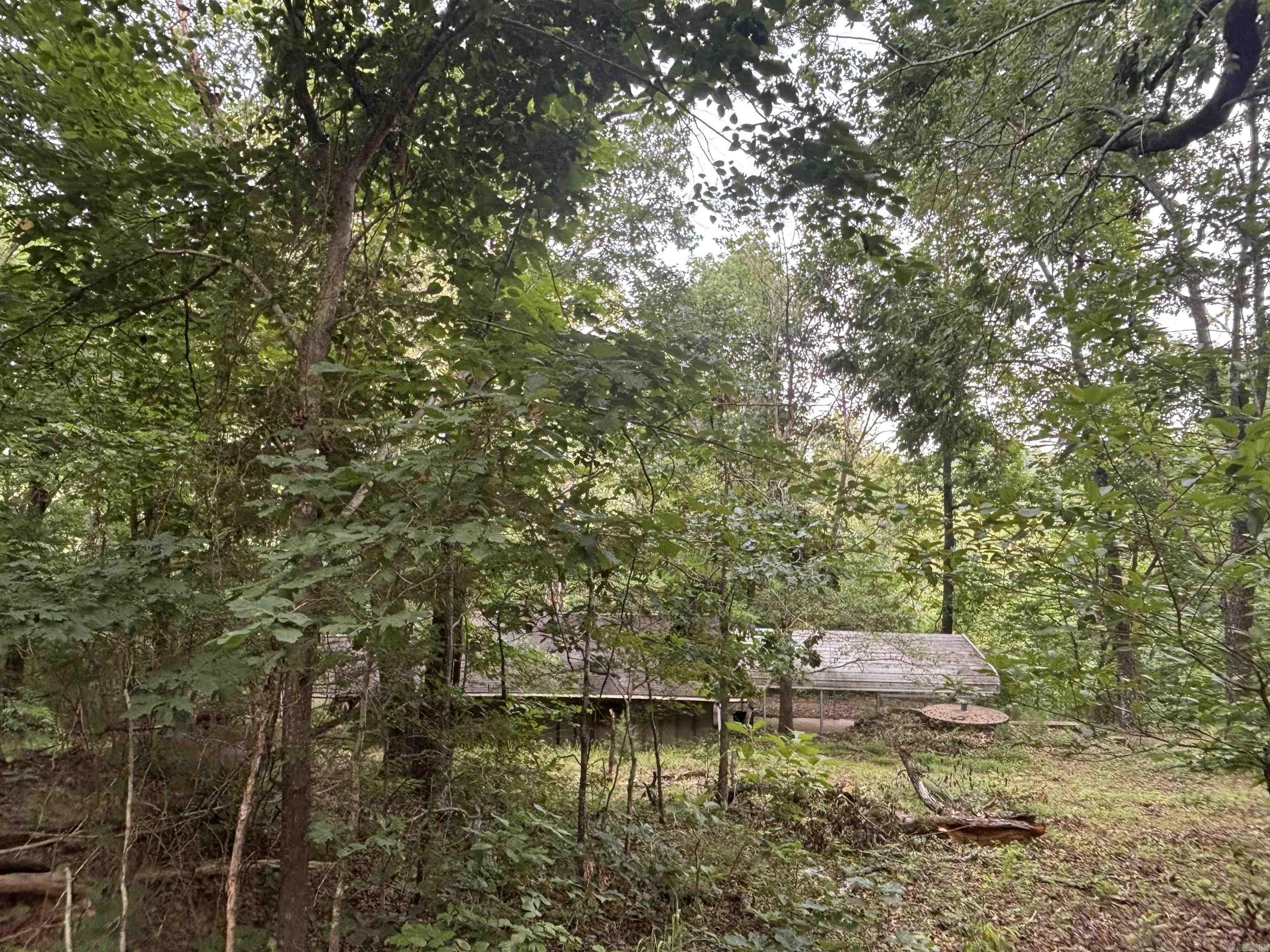 124 Bluffs Drive Property Photo 25