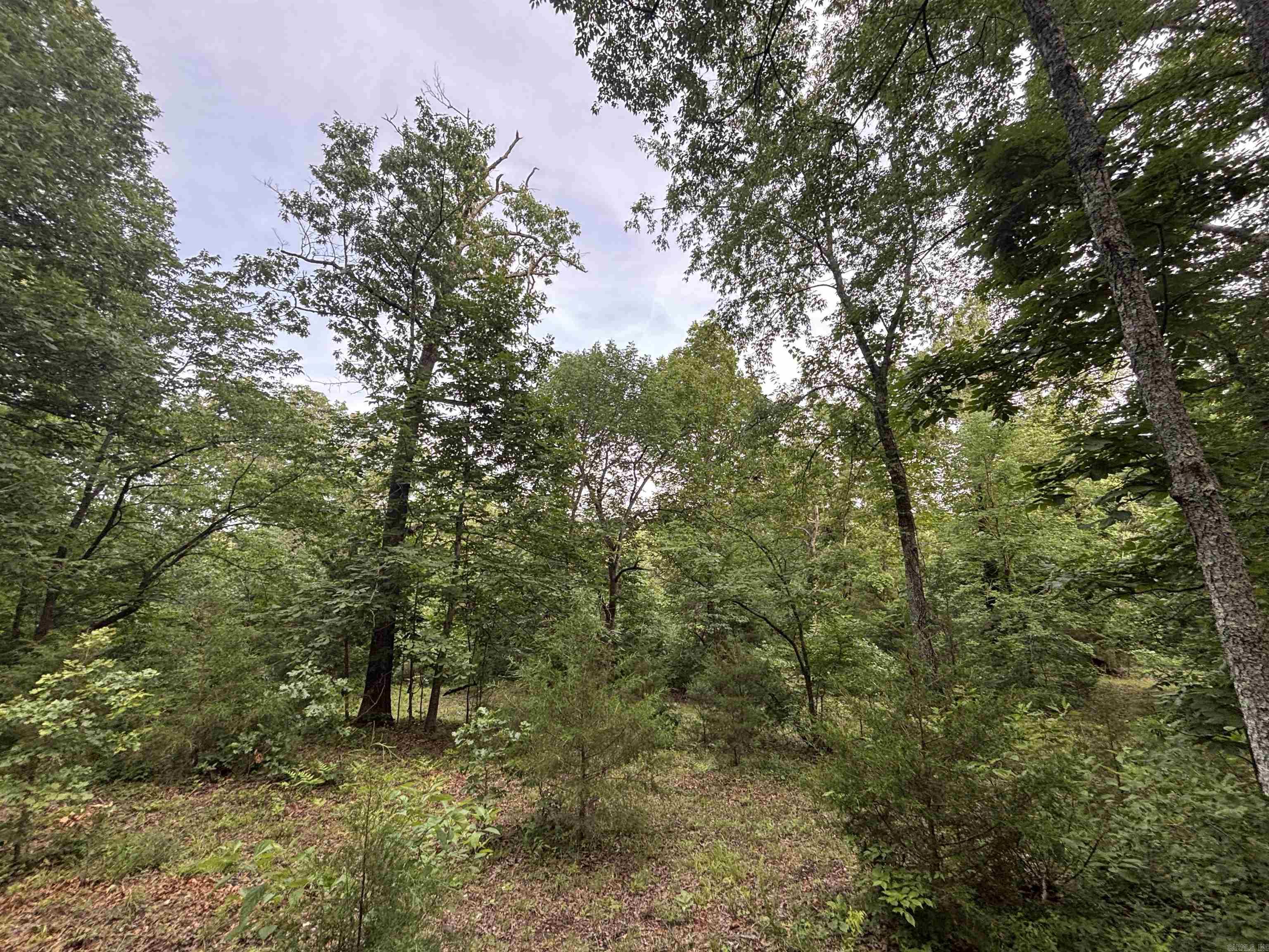 124 Bluffs Drive Property Photo 26