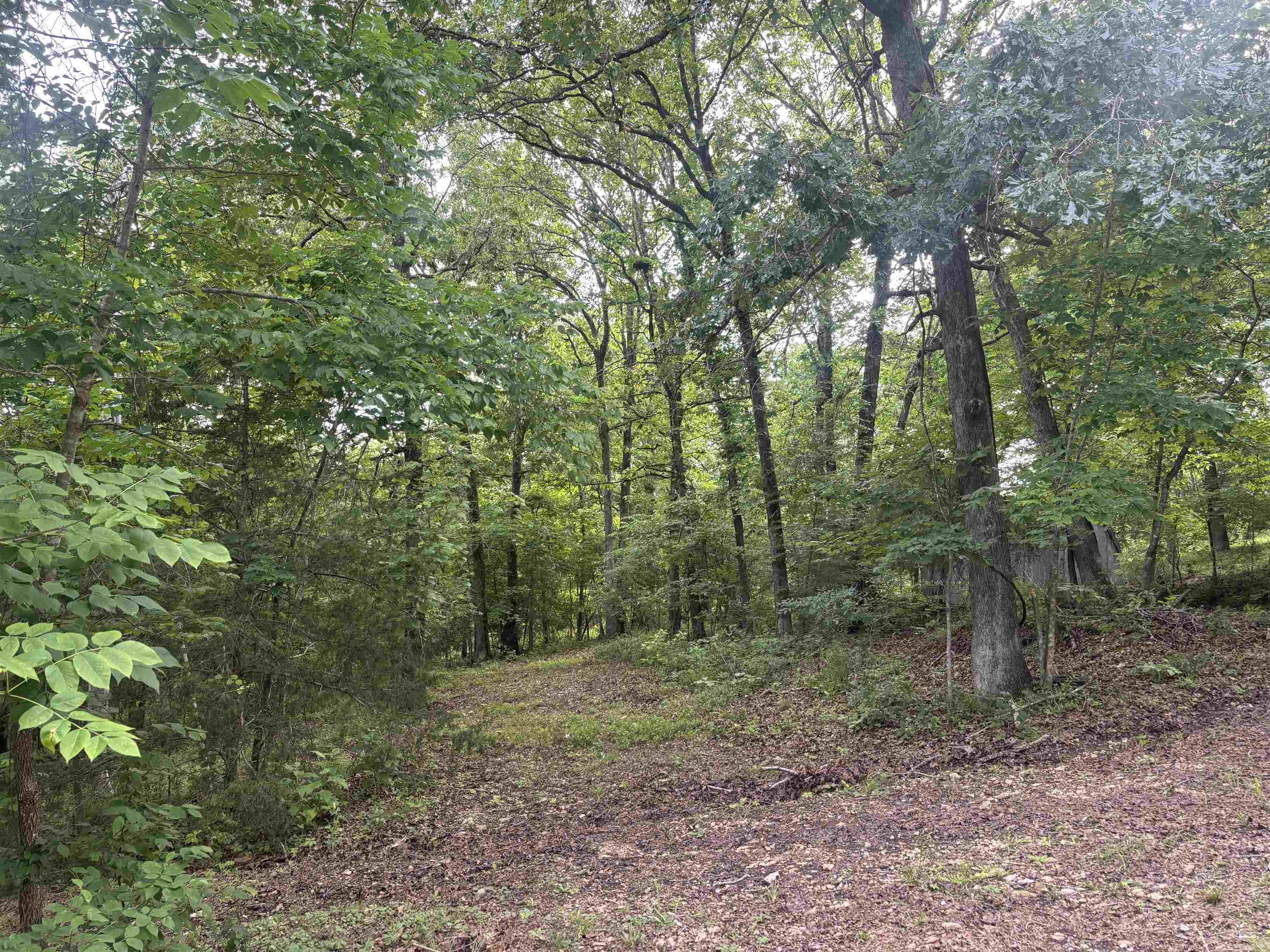 124 Bluffs Drive Property Photo 27