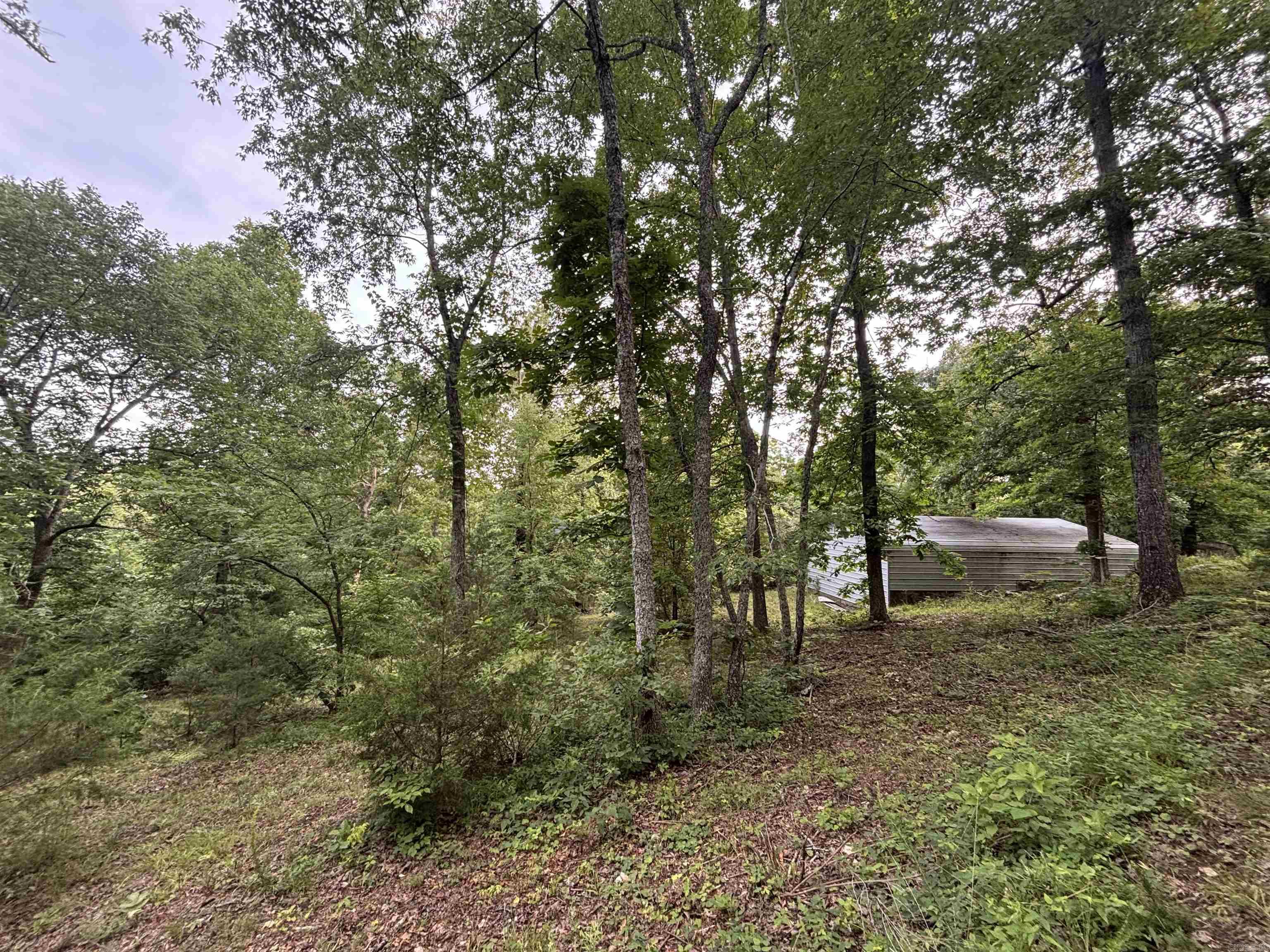 124 Bluffs Drive Property Photo 28