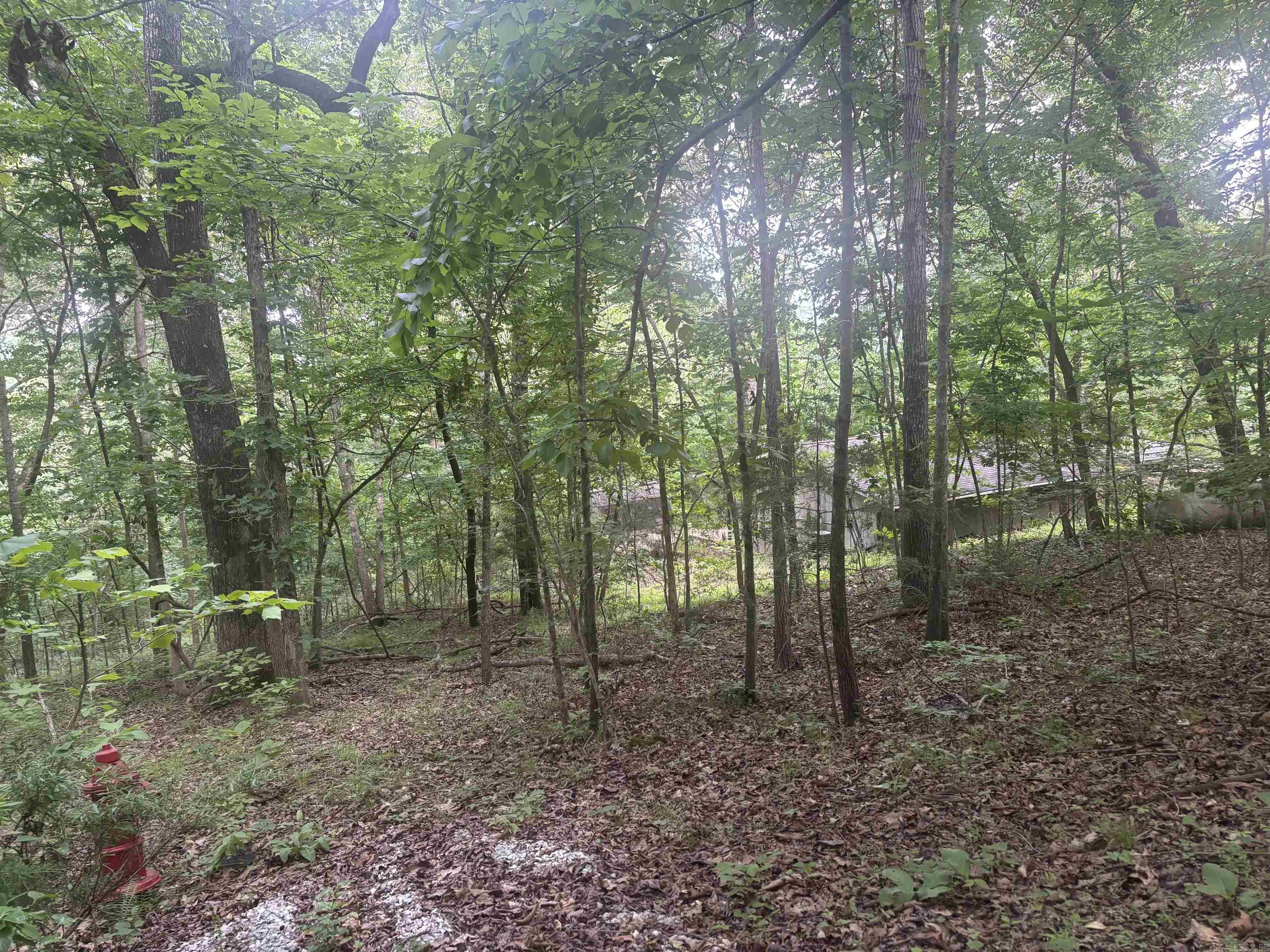 124 Bluffs Drive Property Photo 35