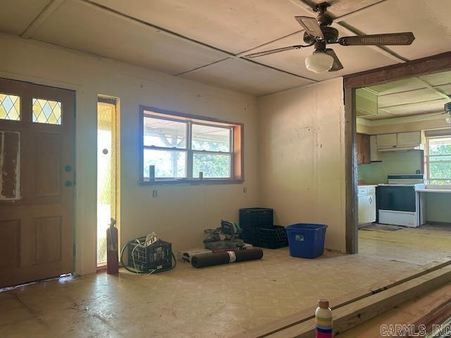 173 Mcelroy Road Property Photo 5