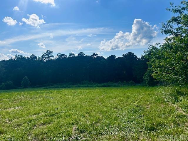 173 Mcelroy Road Property Photo 14