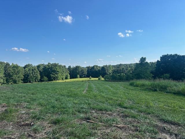 173 Mcelroy Road Property Photo 15