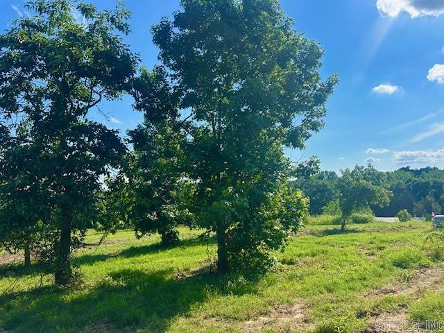 173 Mcelroy Road Property Photo 16