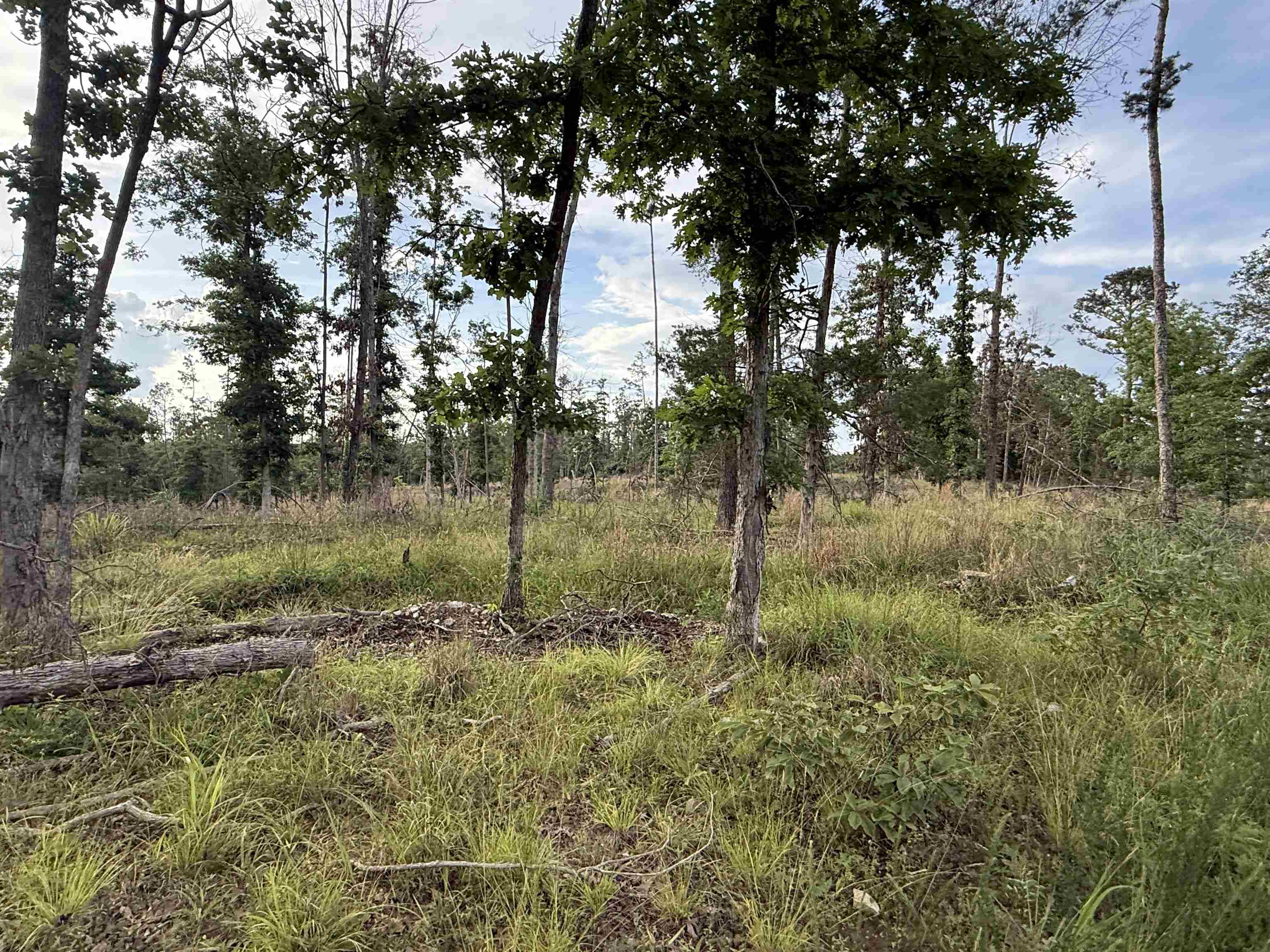 25a Kerley Point Road Property Photo 4