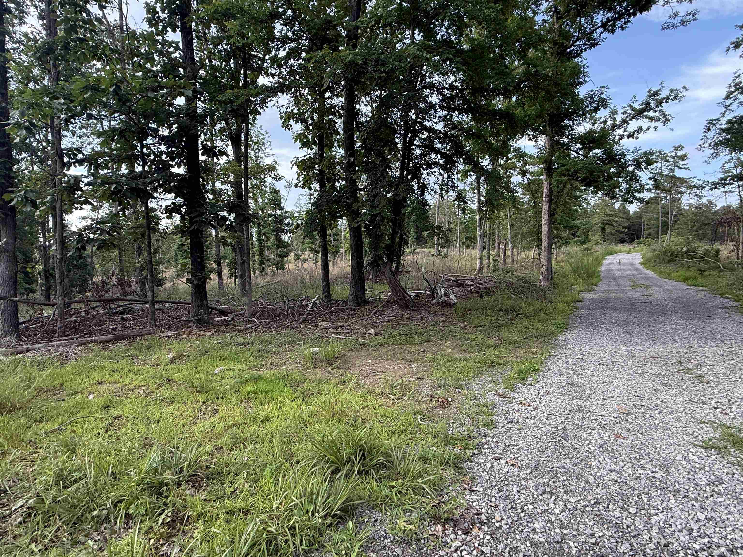 25a Kerley Point Road Property Photo 6