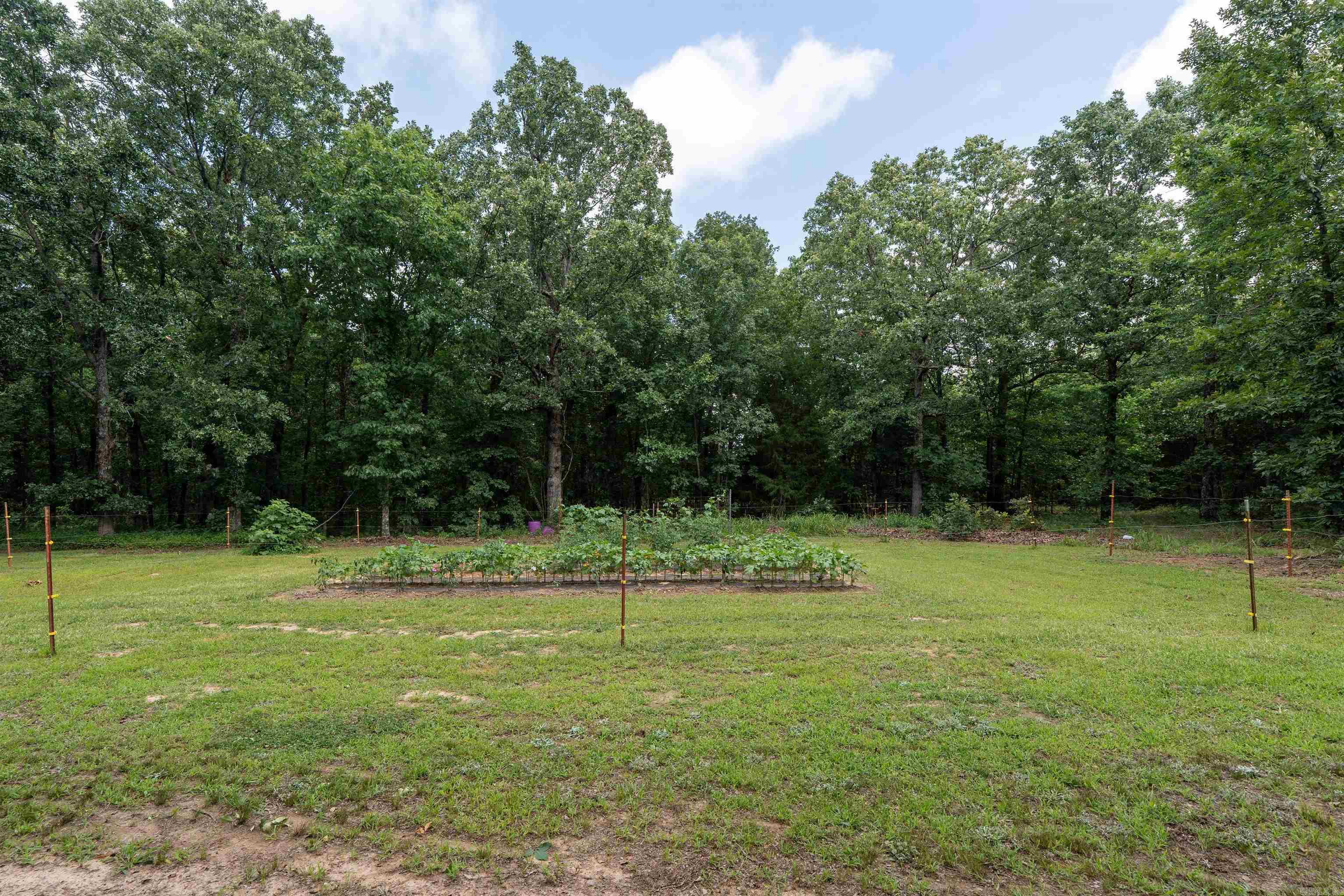 630 Goldmine Road Property Photo 7