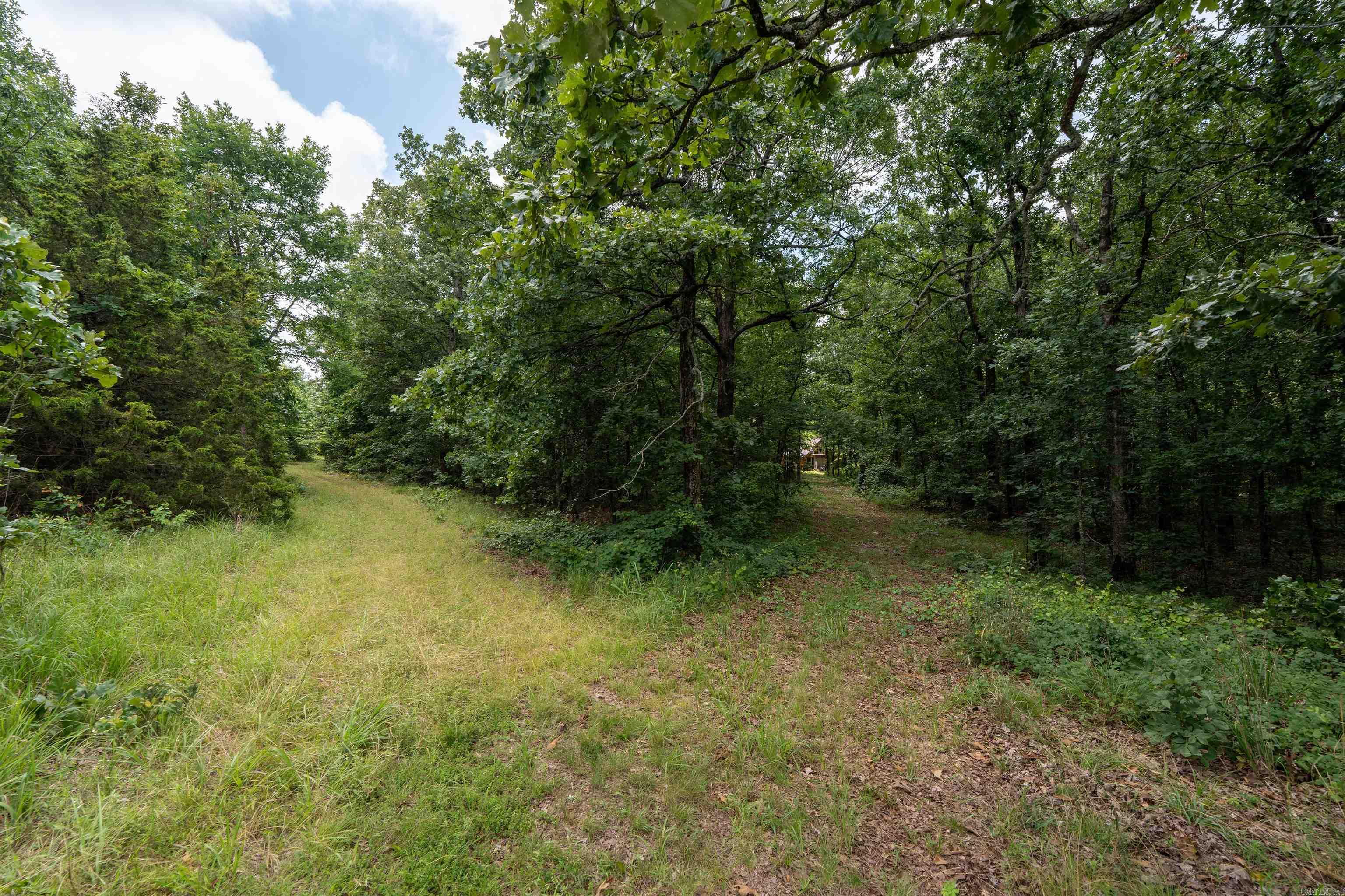 630 Goldmine Road Property Photo 9