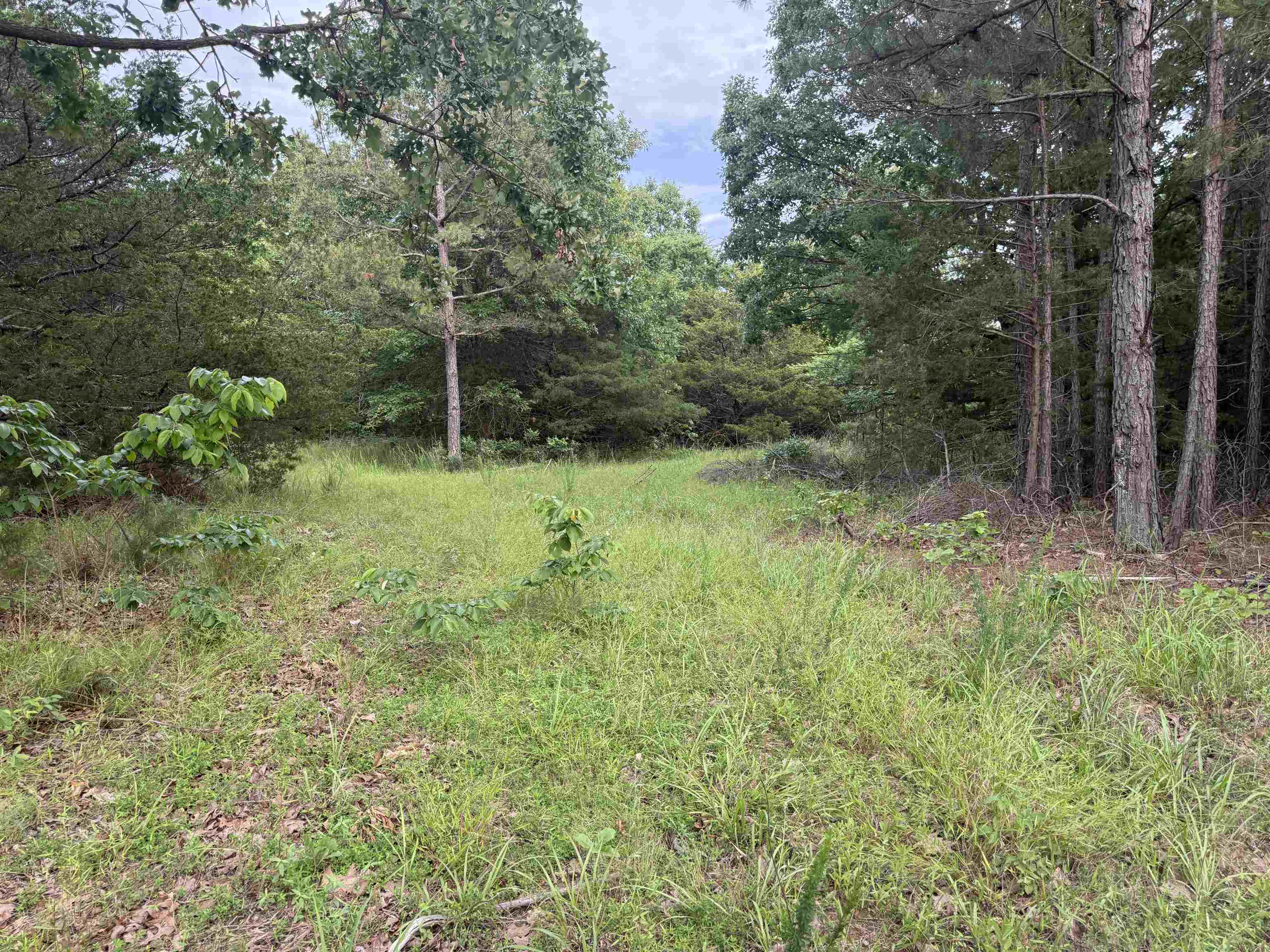 26a Kerley Point Road Property Photo 7