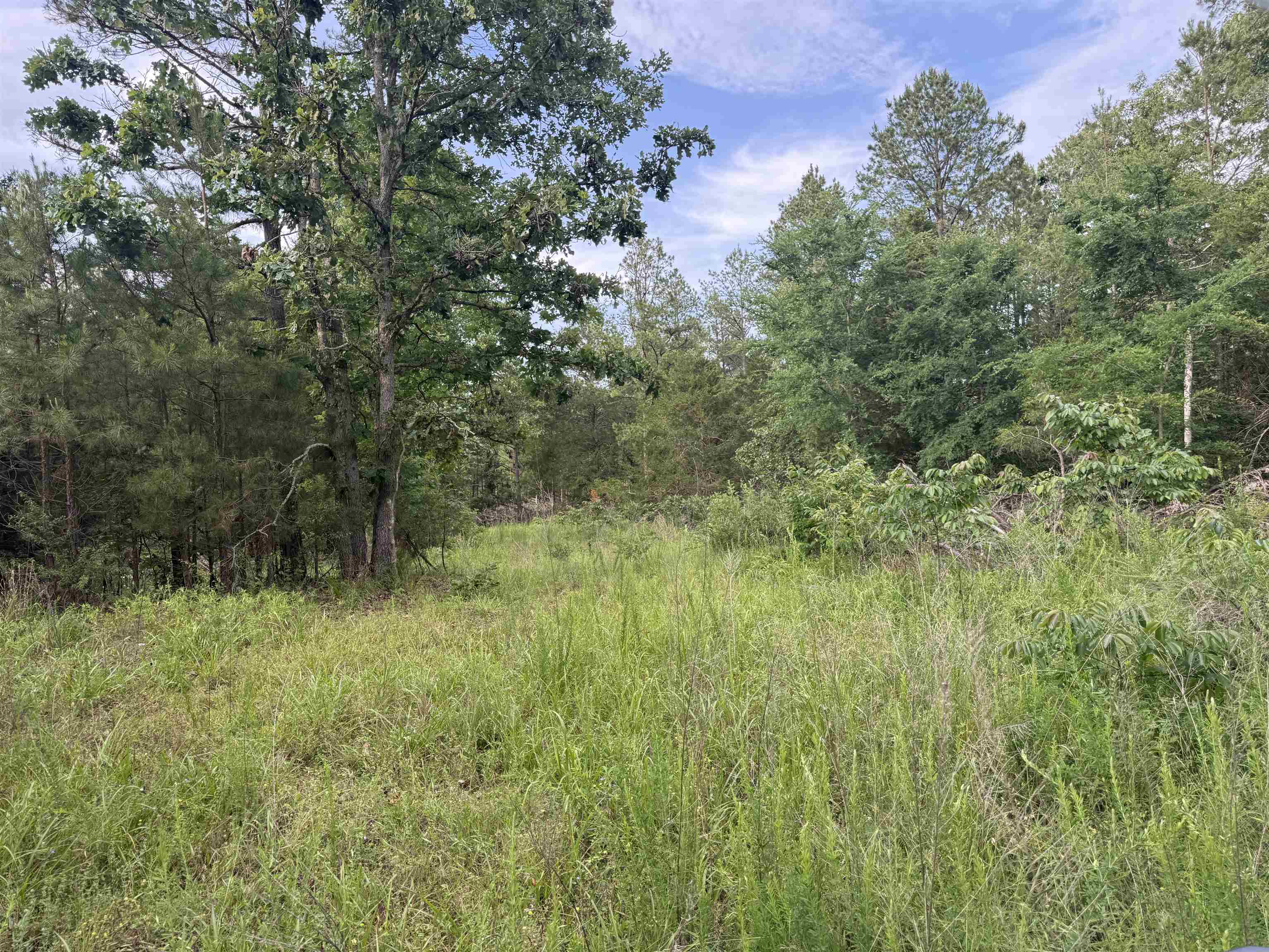 26a Kerley Point Road Property Photo 9