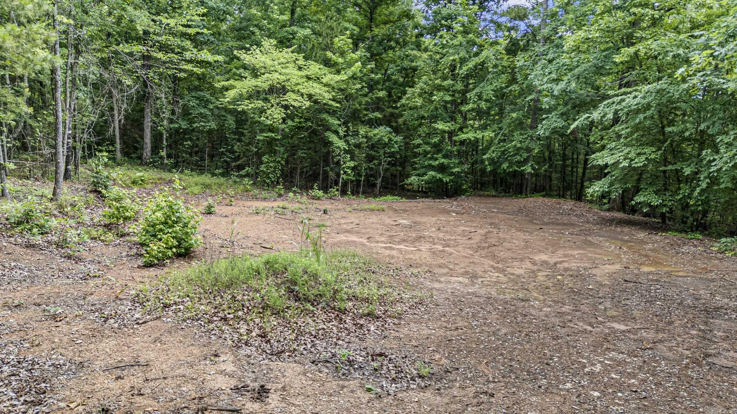 1656 Walnut Valley Drive Property Photo 4