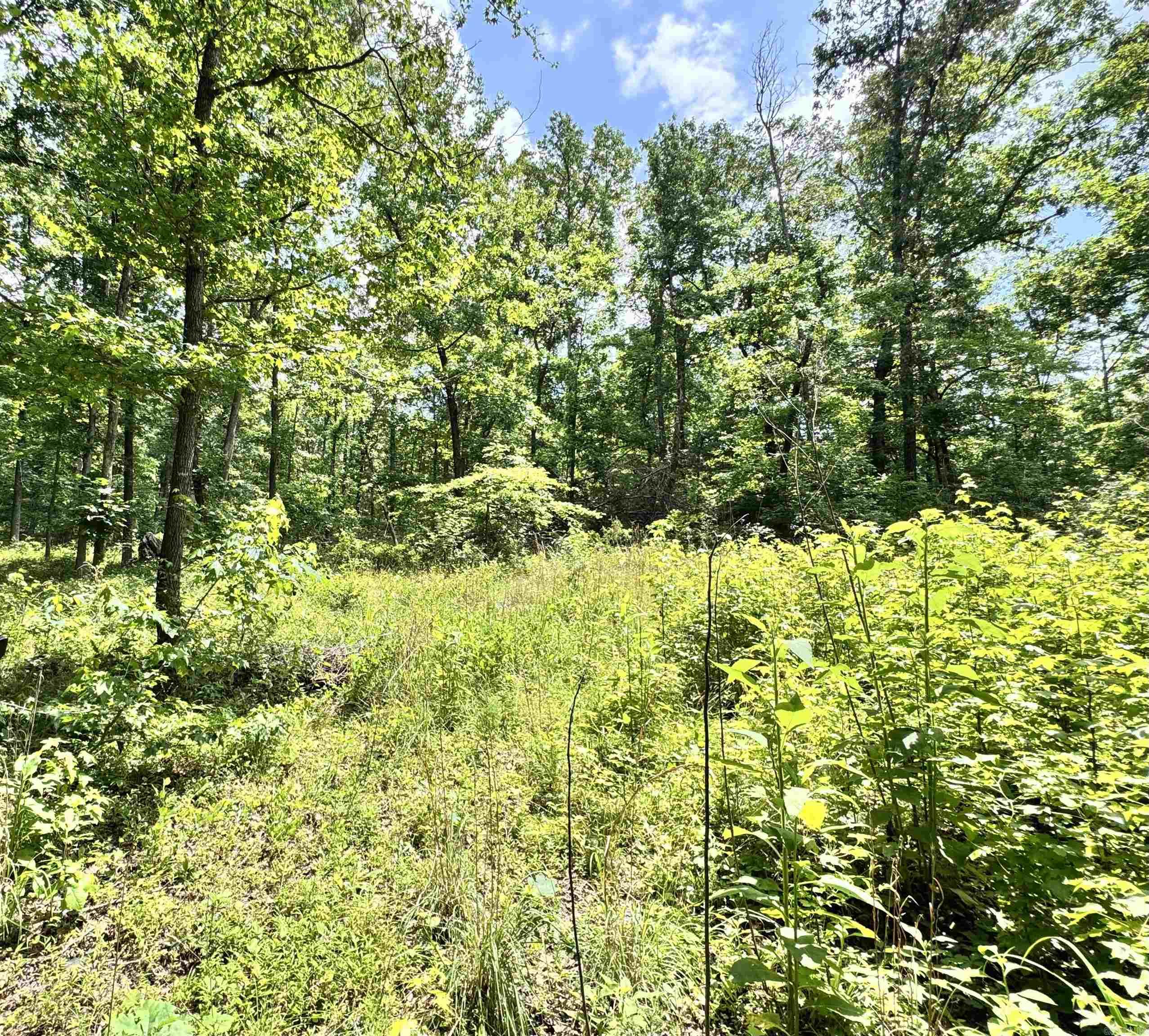 00 Meadow Creek Road Property Photo 1