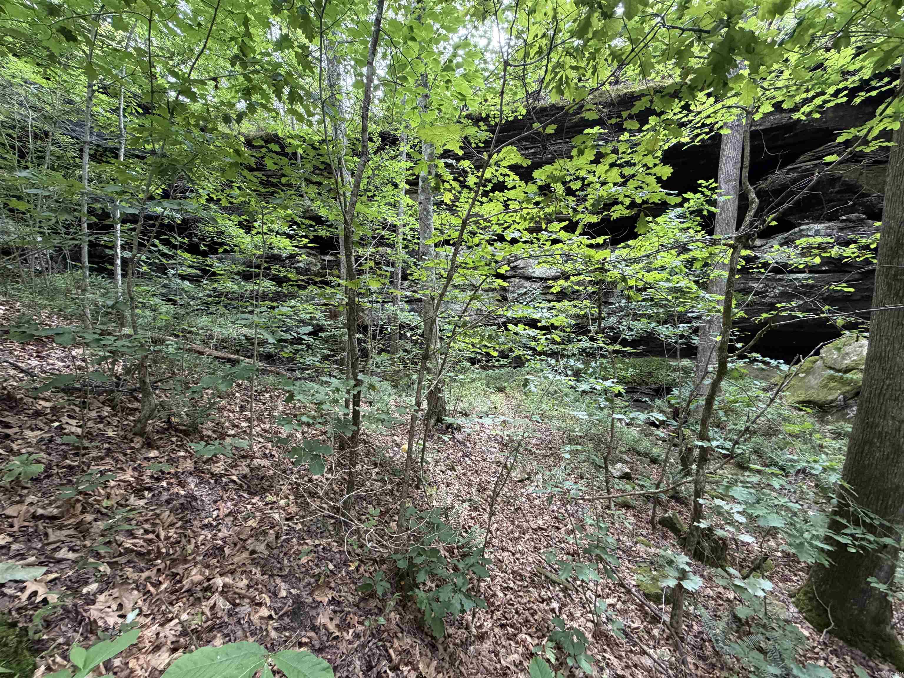 444 Cedar Cabin Lane Property Photo 46