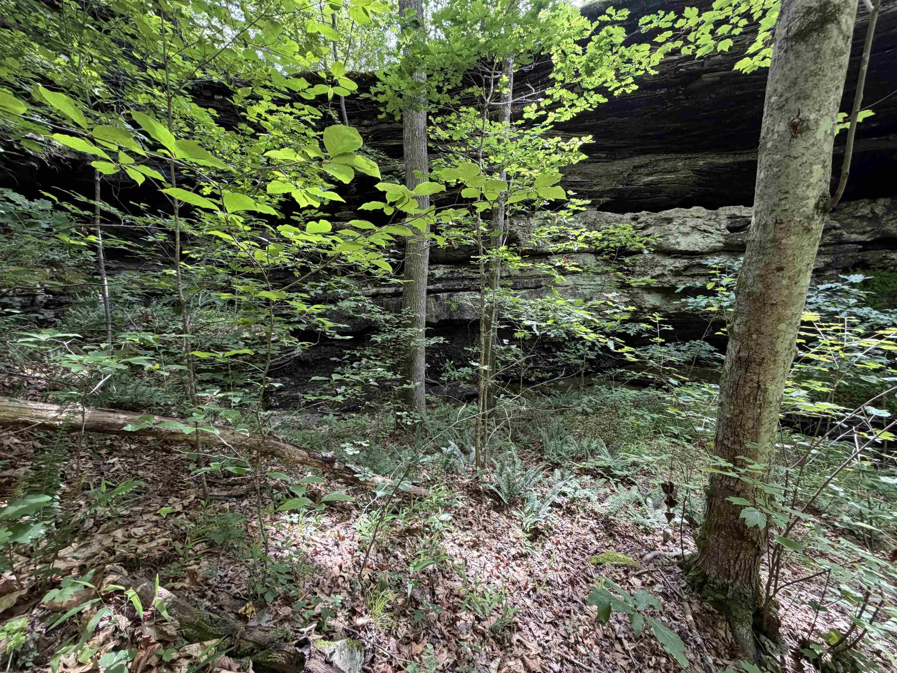 444 Cedar Cabin Lane Property Photo 49