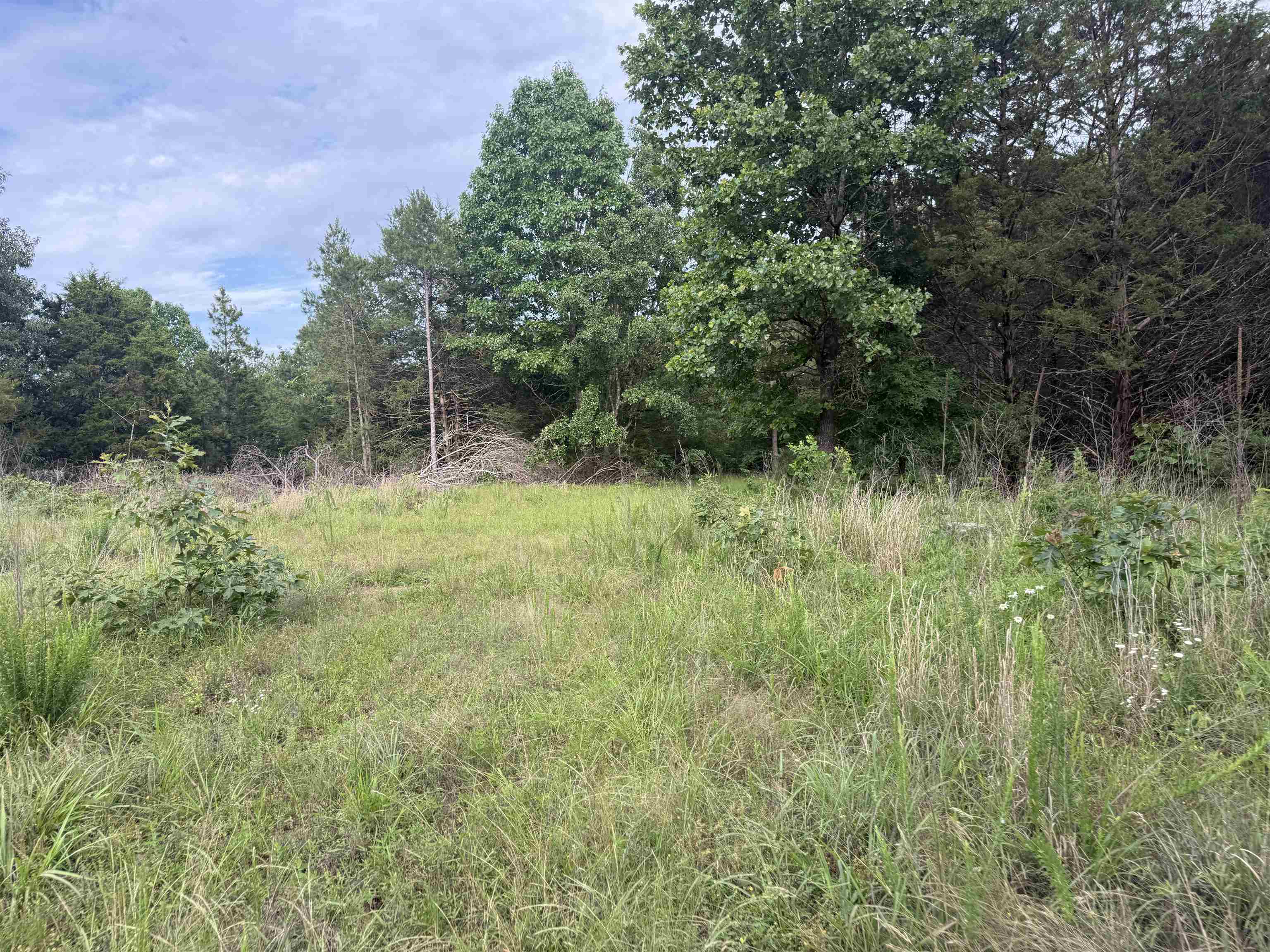 32a Kerley Point Road Property Photo 8