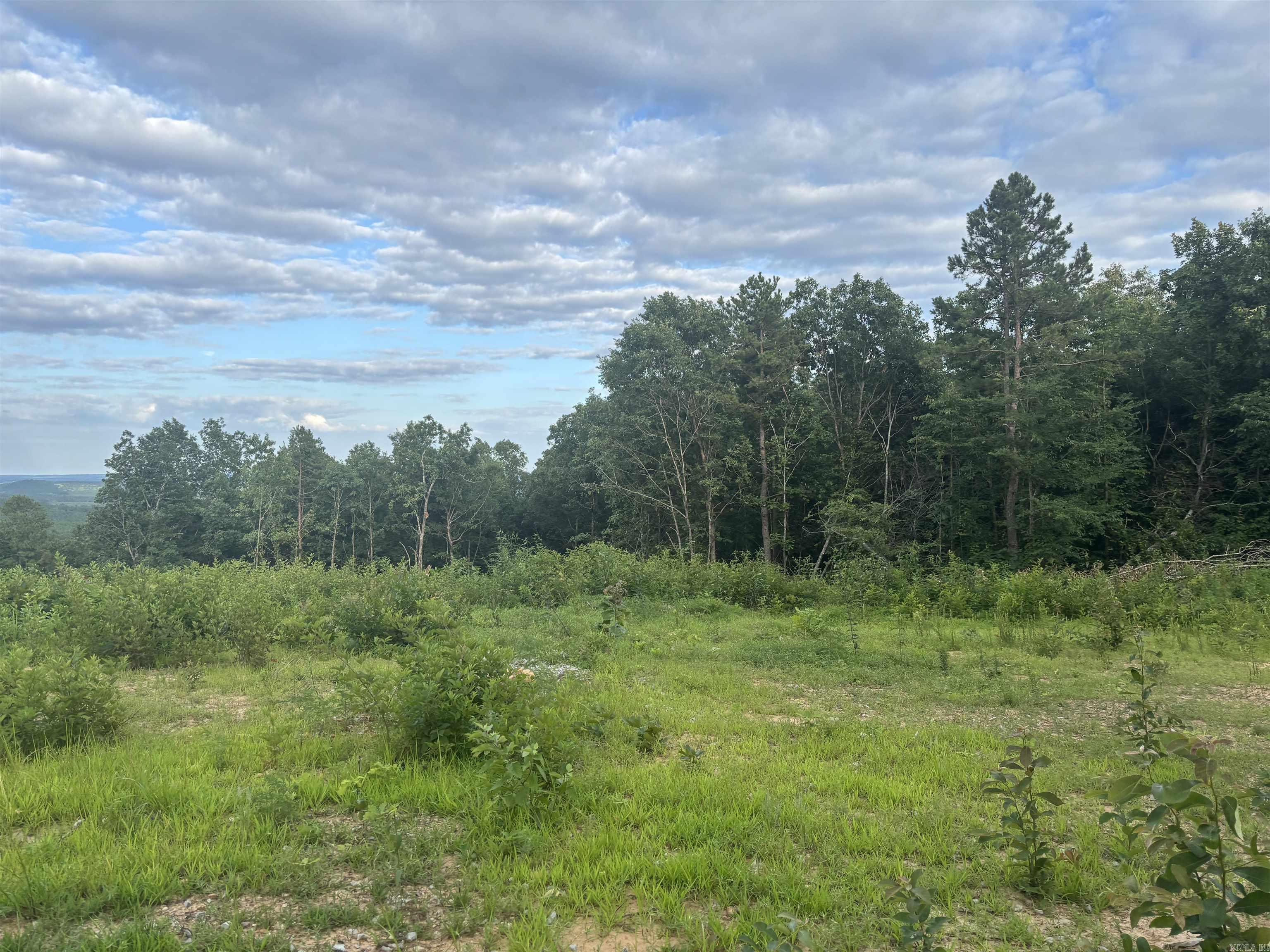 2095 Dry Mountain Road Property Photo 2