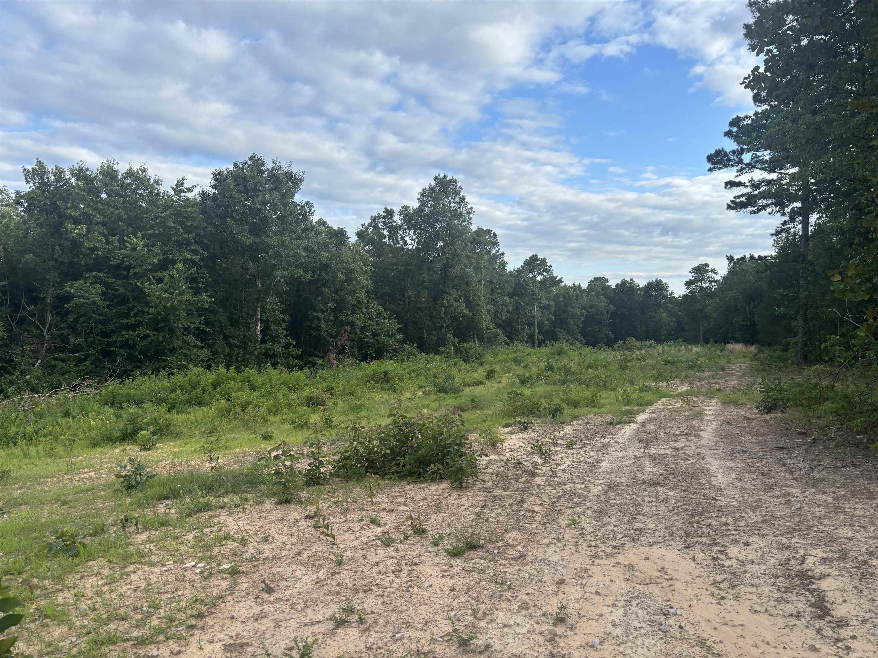 2095 Dry Mountain Road Property Photo 3