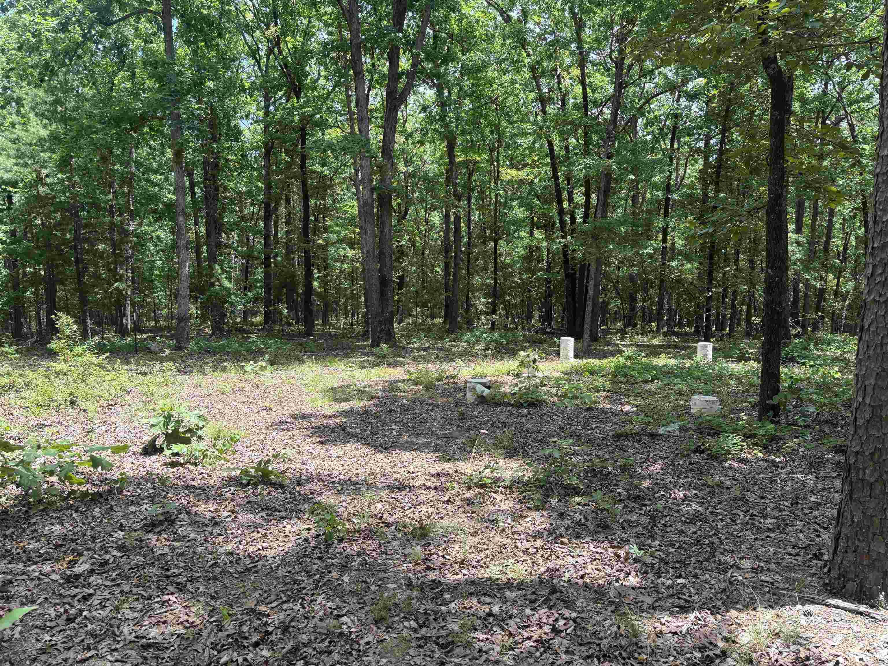 17909 Fedder Rd Property Photo 4