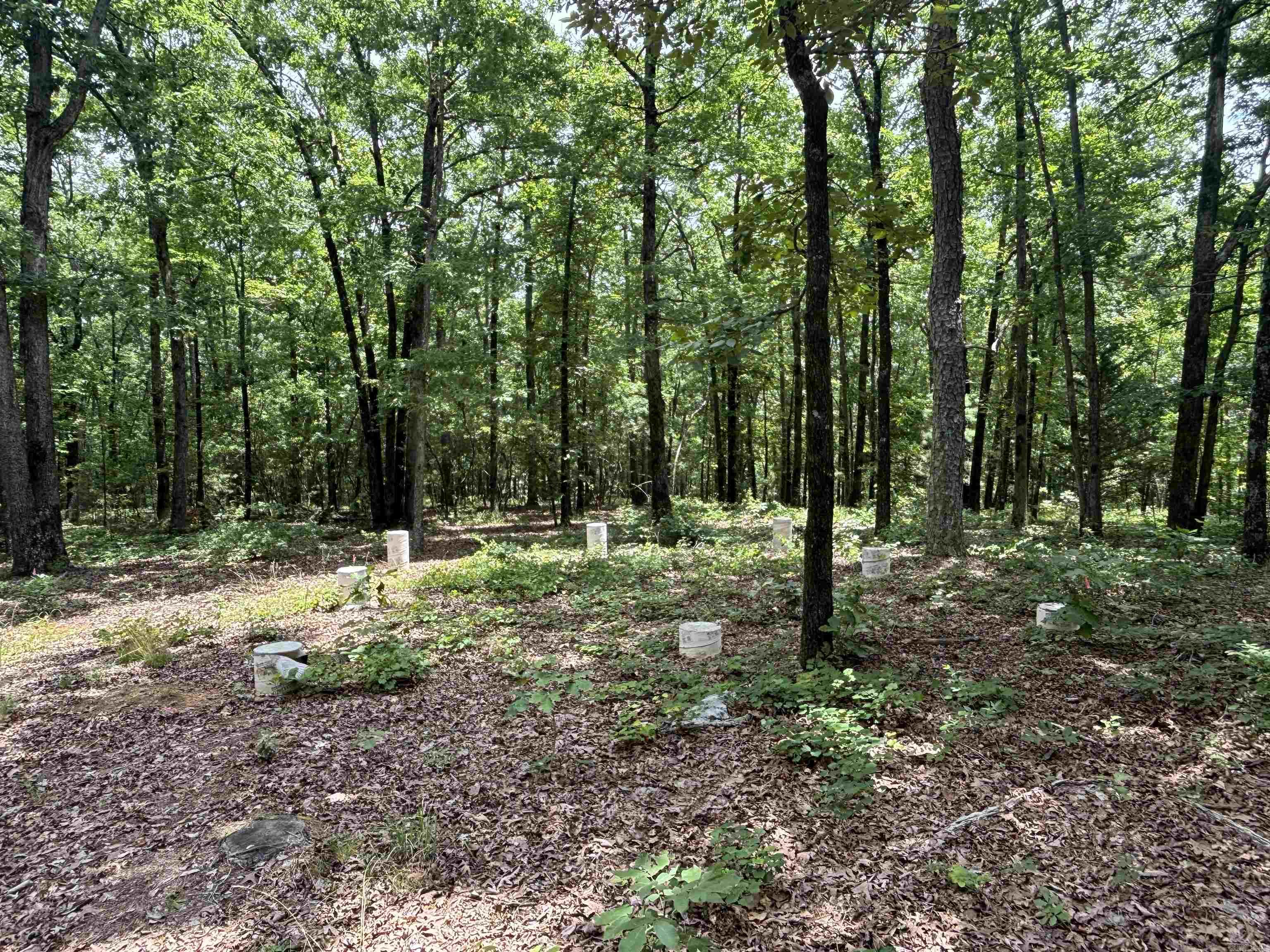 17909 Fedder Rd Property Photo 5