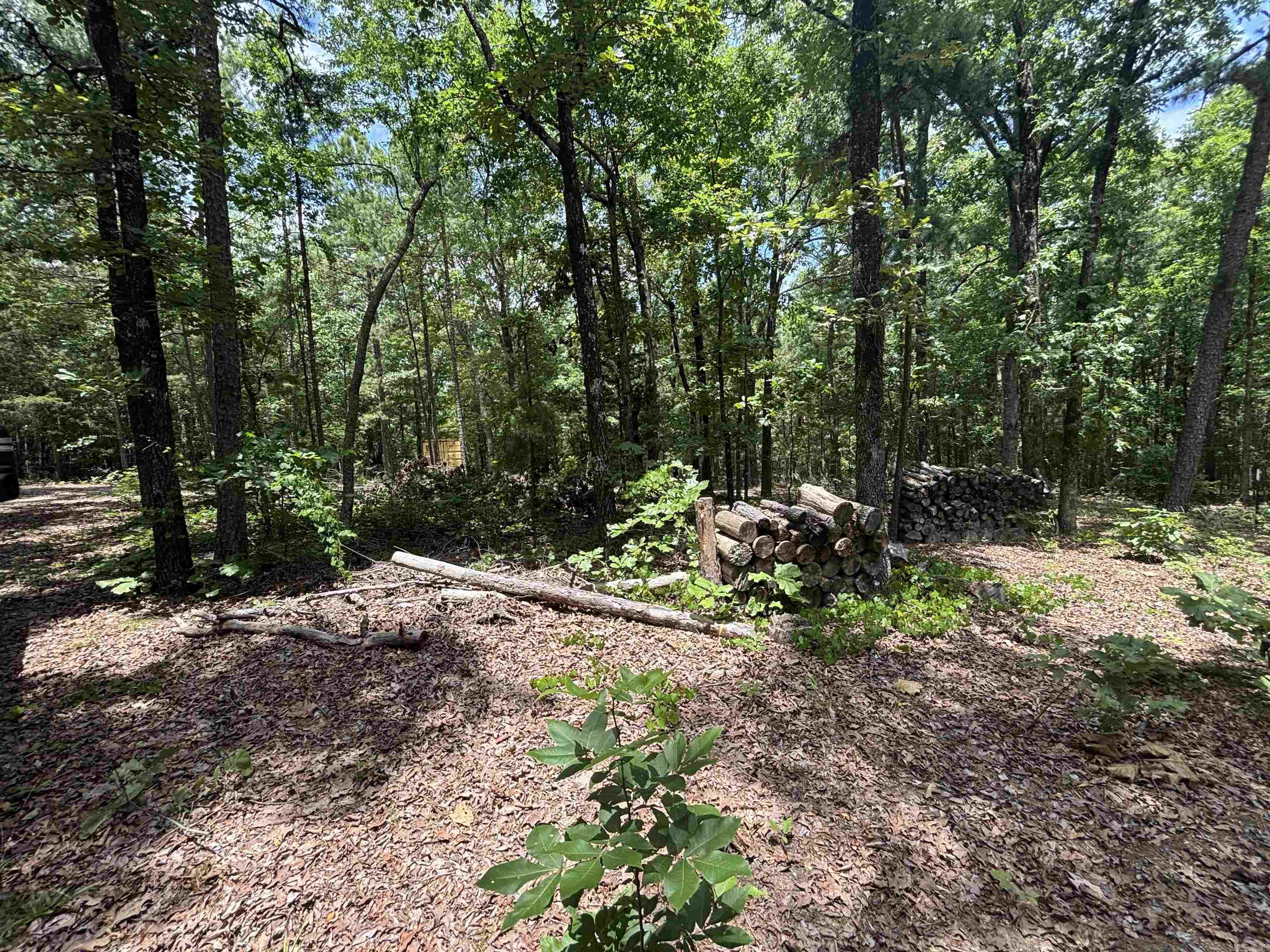 17909 Fedder Rd Property Photo 6