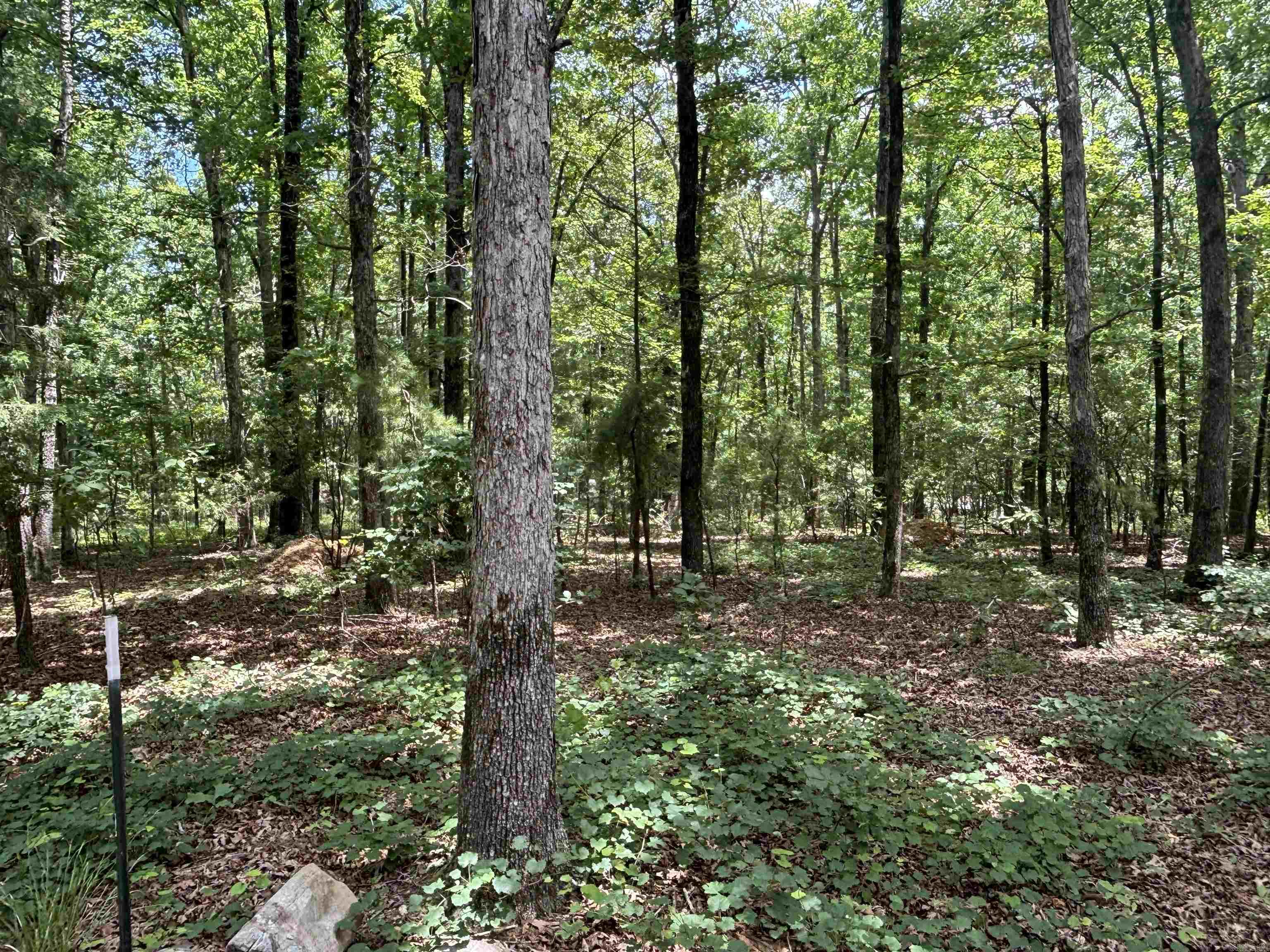 17909 Fedder Rd Property Photo 8