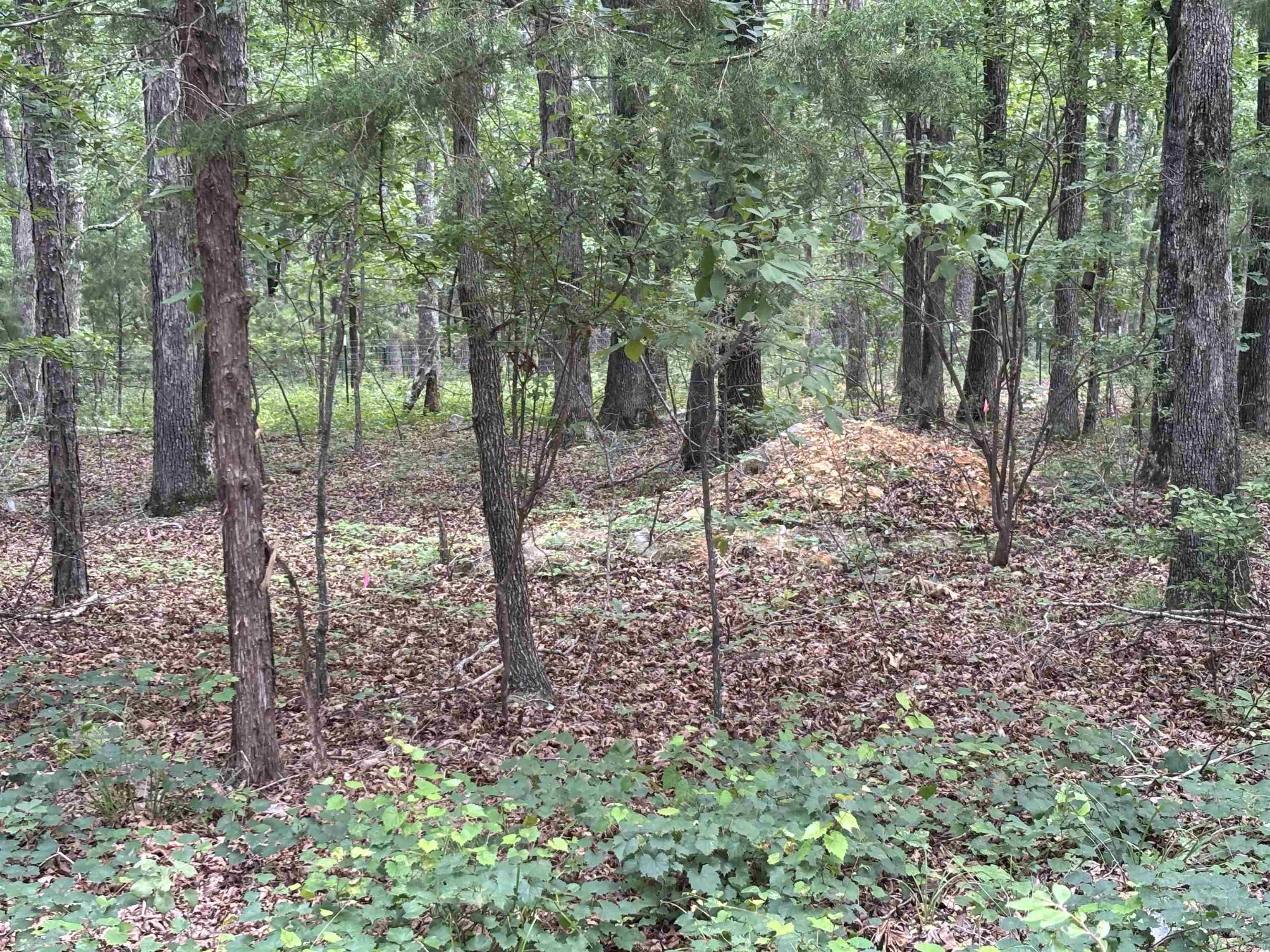 17909 Fedder Rd Property Photo 10