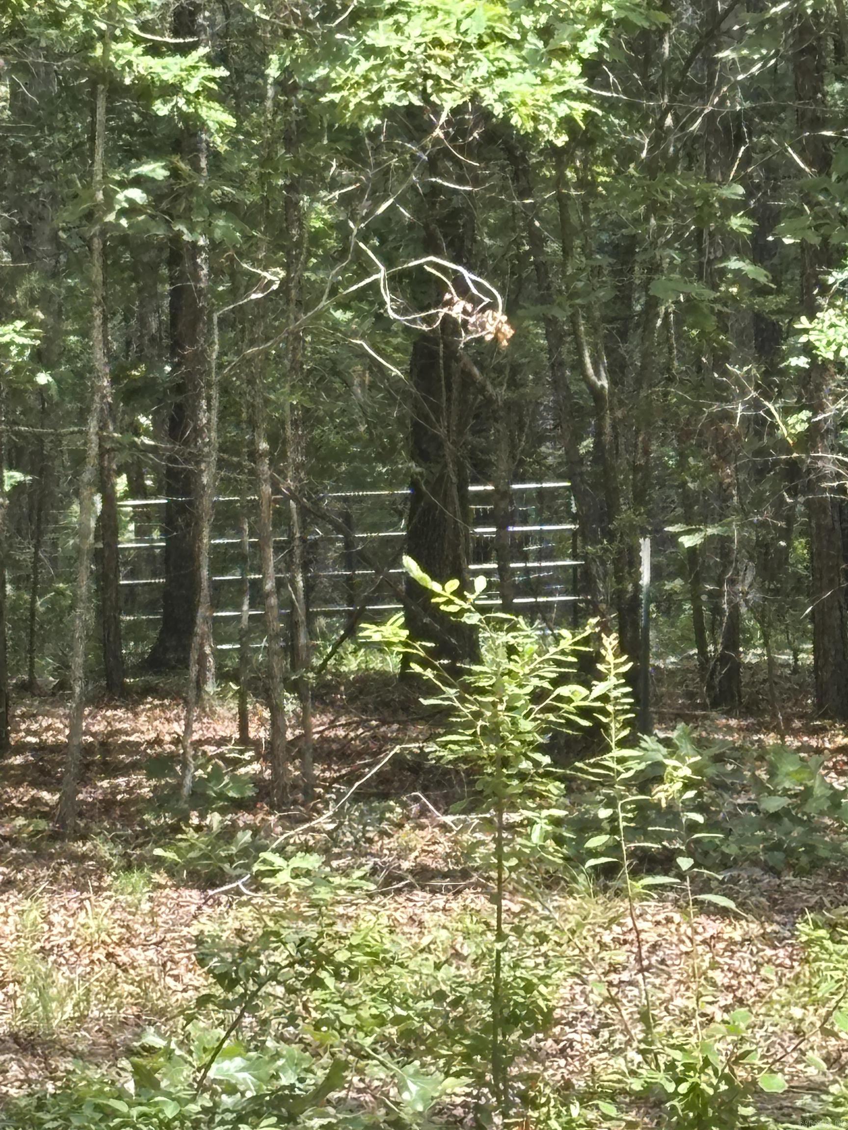 17909 Fedder Rd Property Photo 11