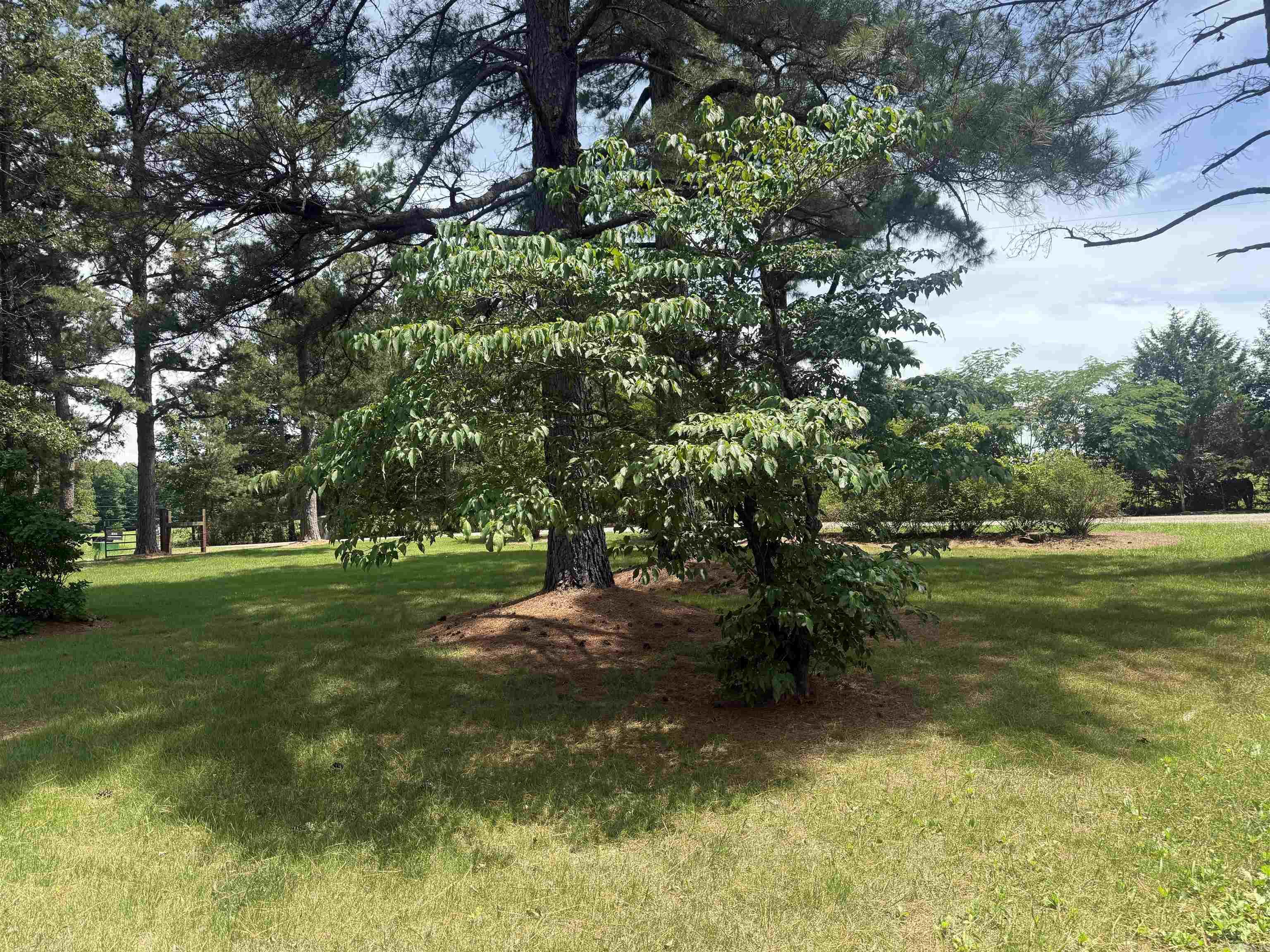 245 Berry Road Property Photo 25