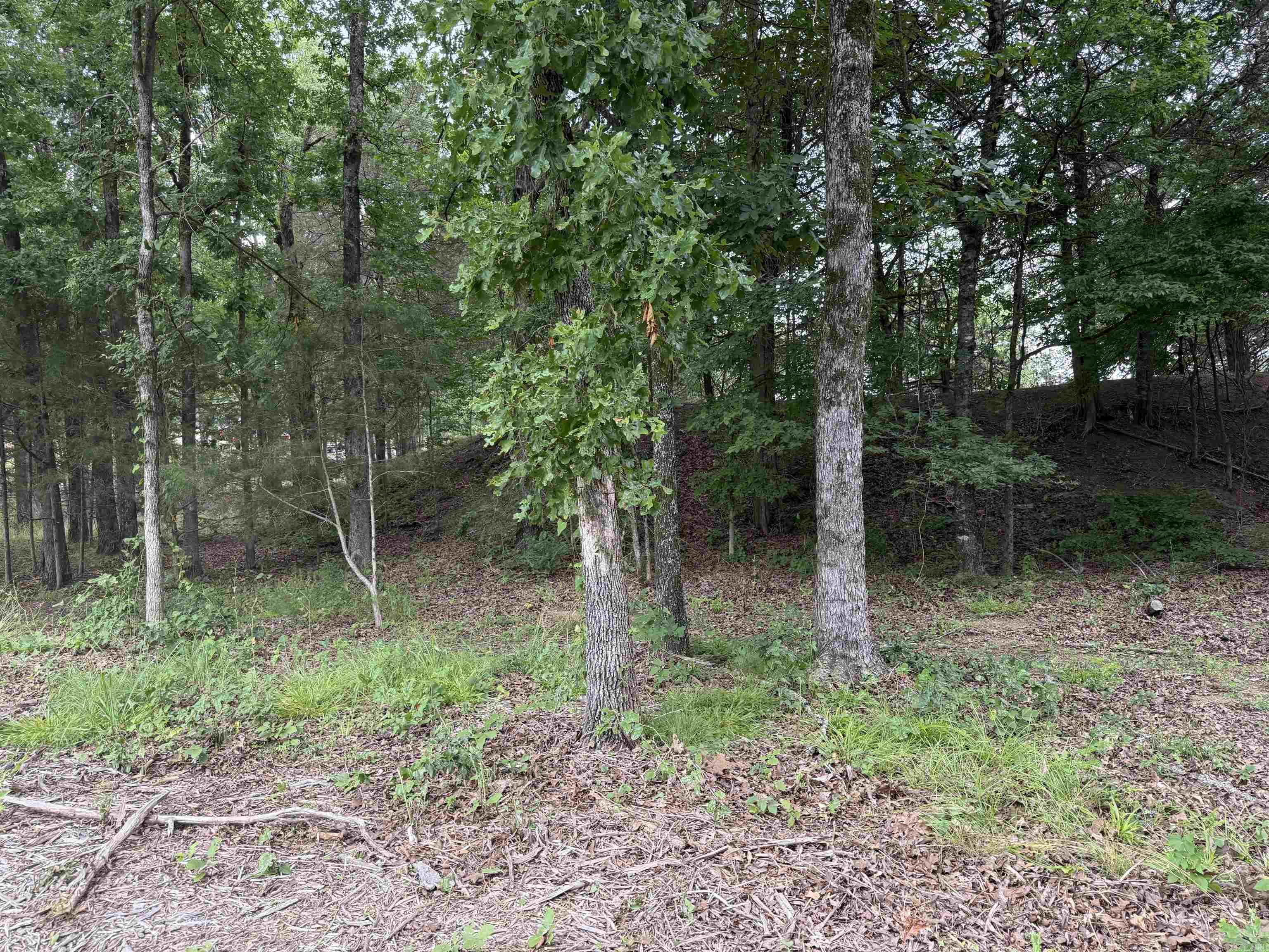 801 Fox Den Road Property Photo 4