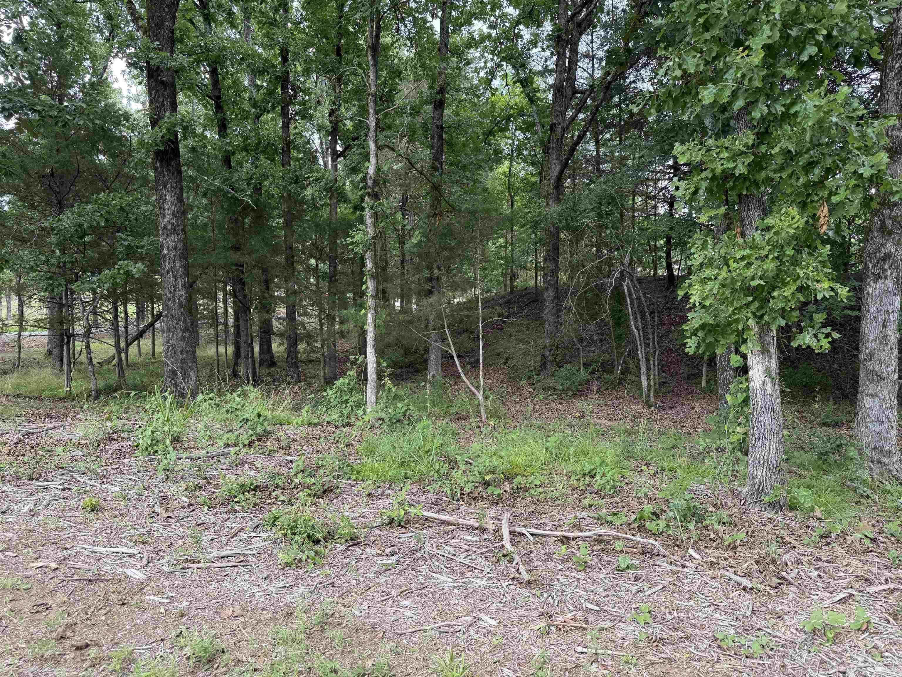 801 Fox Den Road Property Photo 7