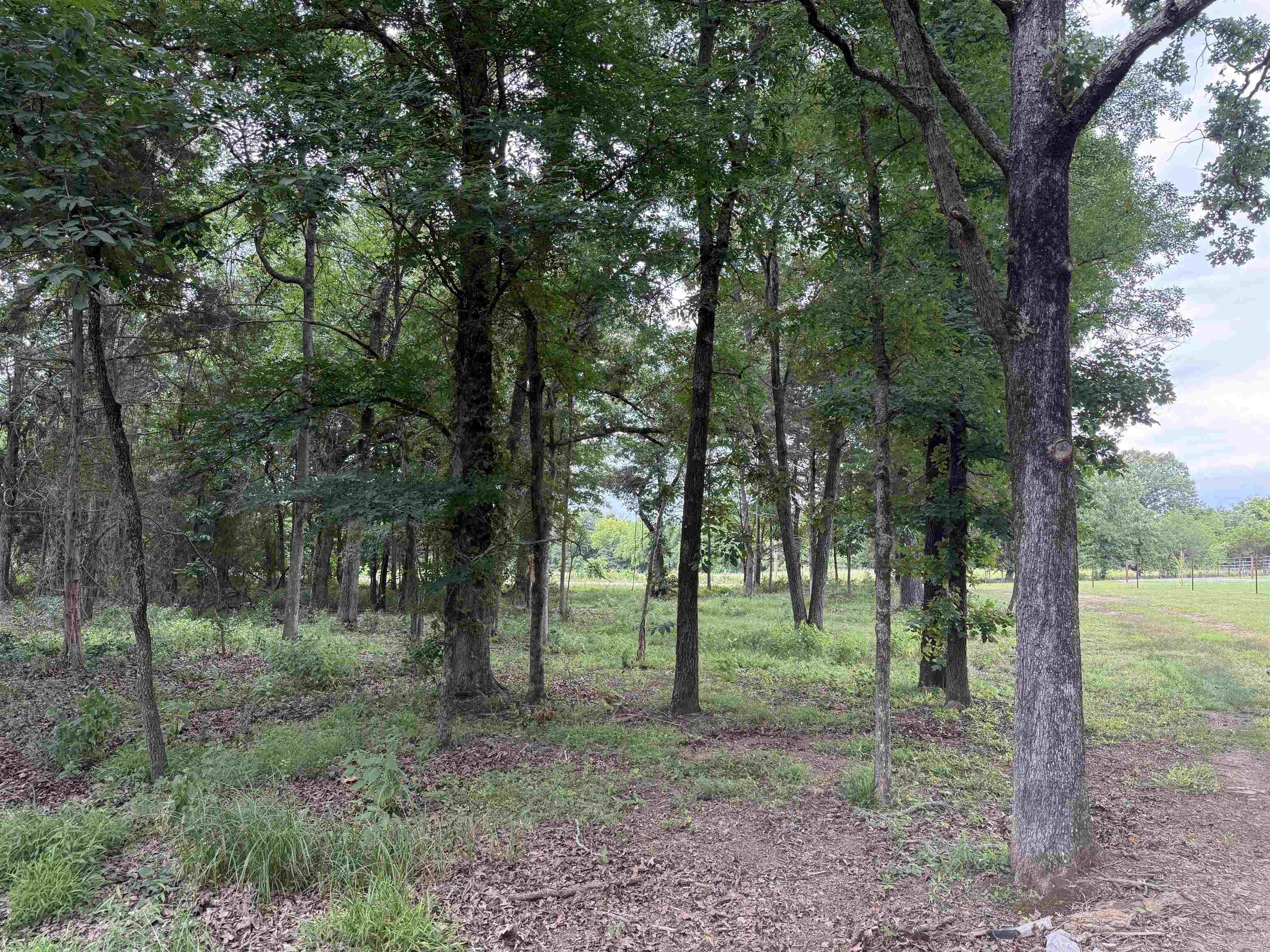 801 Fox Den Road Property Photo 8
