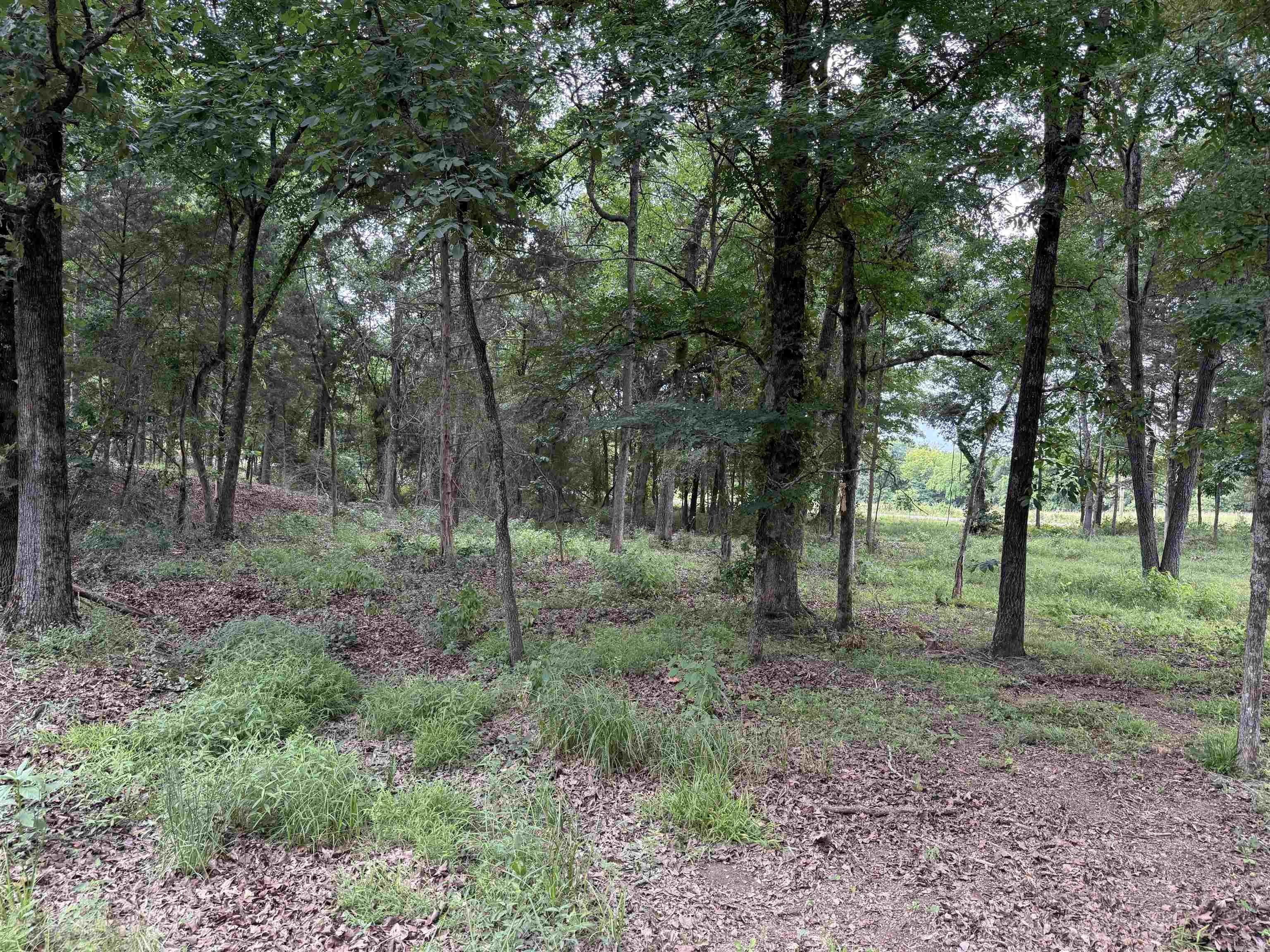 801 Fox Den Road Property Photo 9